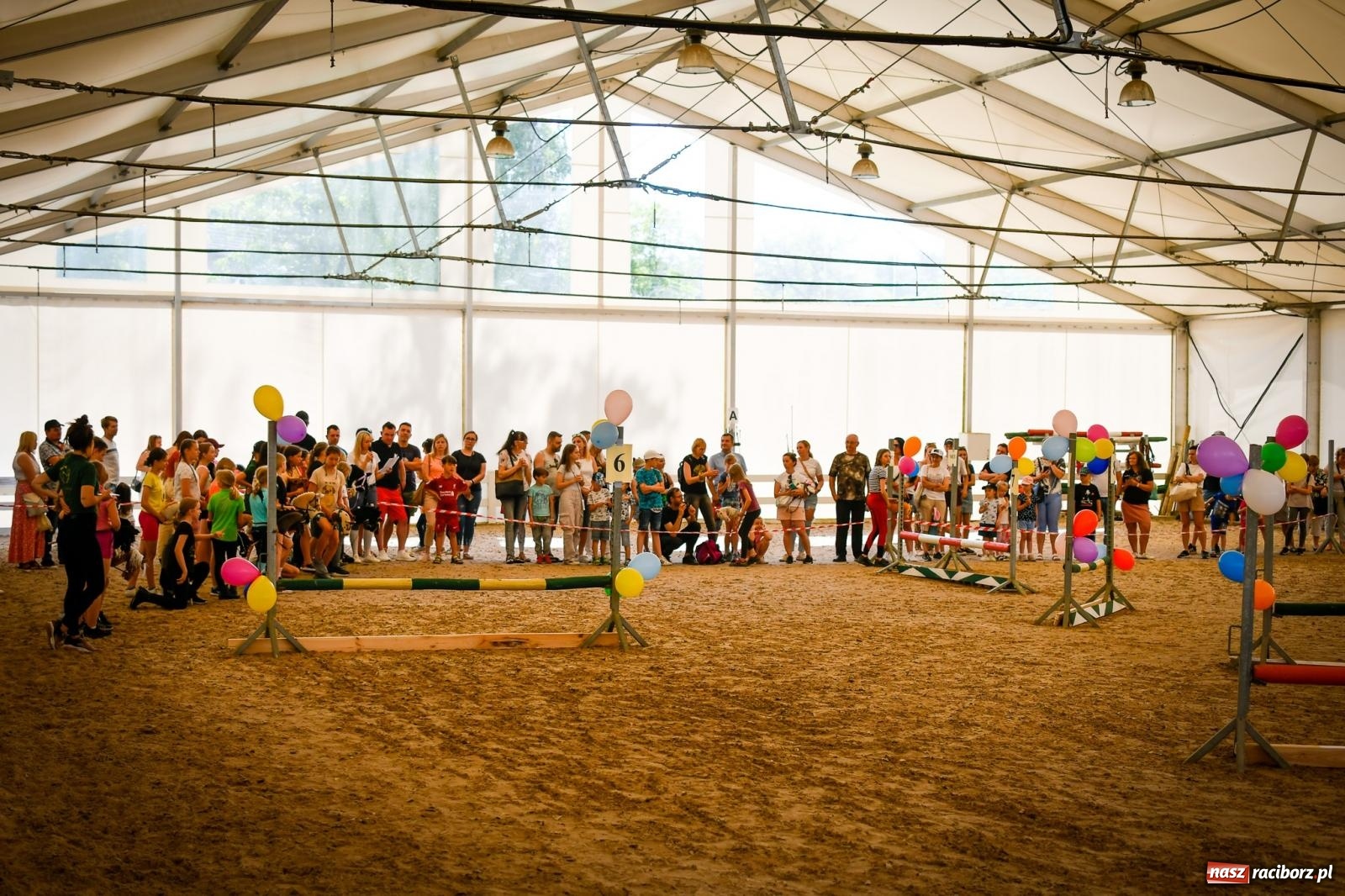 Zdjęcie w galerii na portalu naszraciborz.pl: Tłumy na Dniu Dziecka w klubie jeździeckim Aquabrax [FOTO i WIDEO] wiadomości z regionu