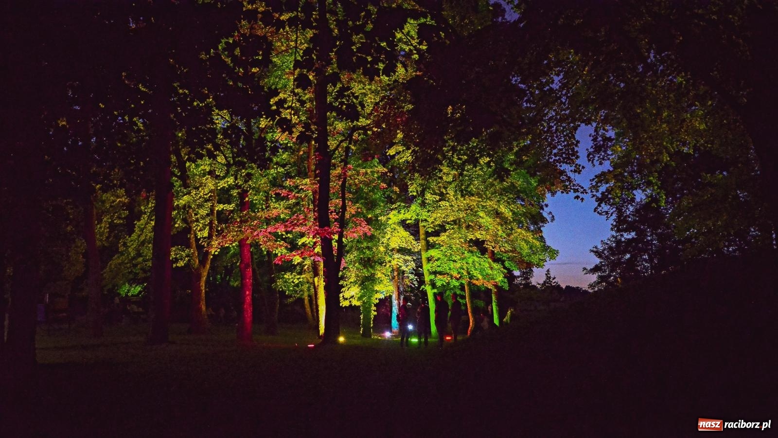 Zdjęcie w galerii na portalu naszraciborz.pl: Muzyczny FUN NAD ODRĄ do samego rana [FOTO i WIDEO] wiadomości z regionu