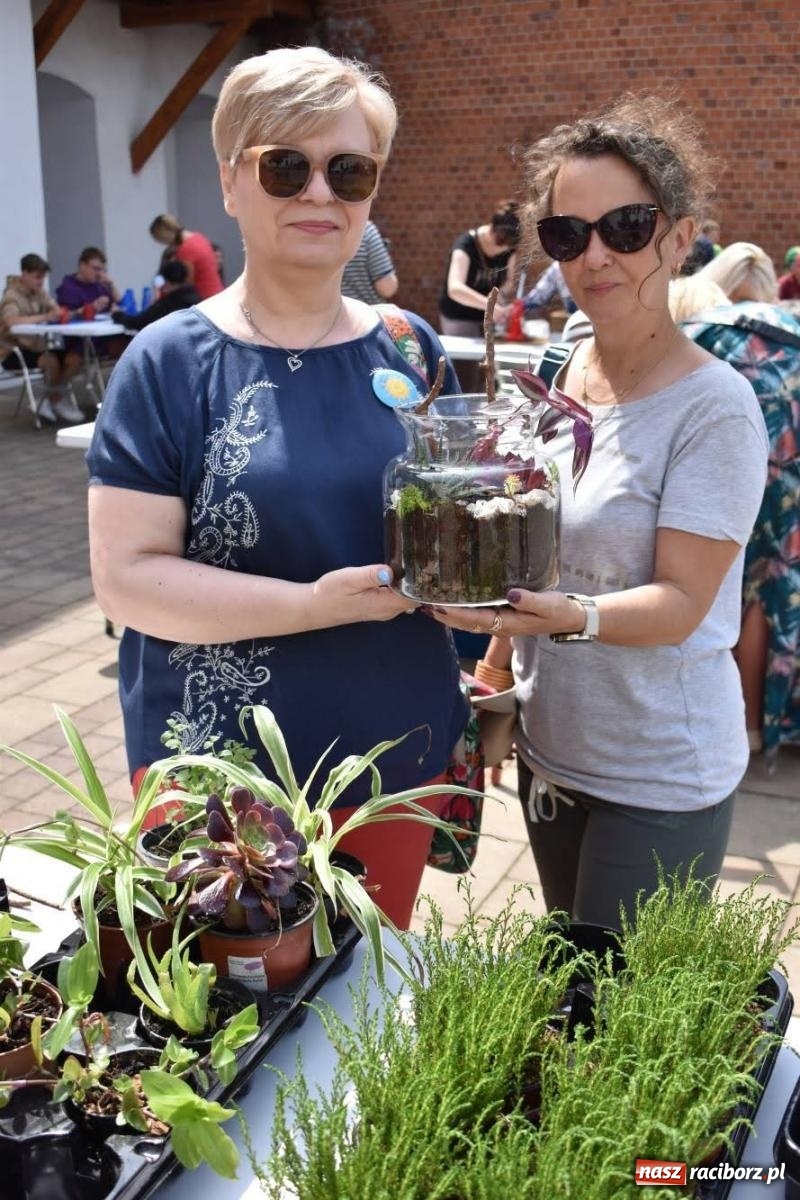 Zdjęcie w galerii na portalu naszraciborz.pl: Dziesiątka i przyjaciele na raciborskim zamku [FOTO i WIDEO] wiadomości z regionu