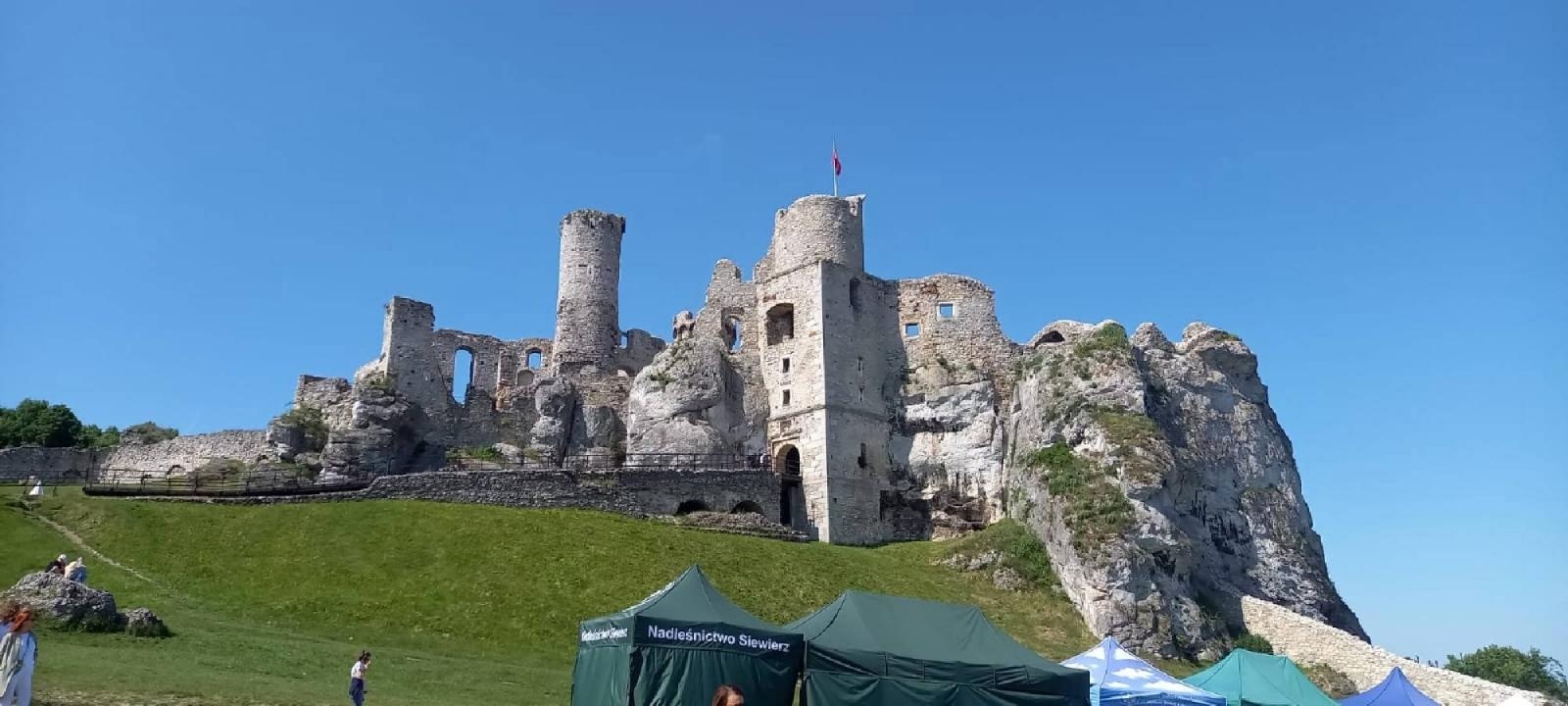 Zdjęcie w galerii na portalu naszraciborz.pl: W Raciborzu powstaną dwie nowoczesne zielone pracownie wiadomości z regionu