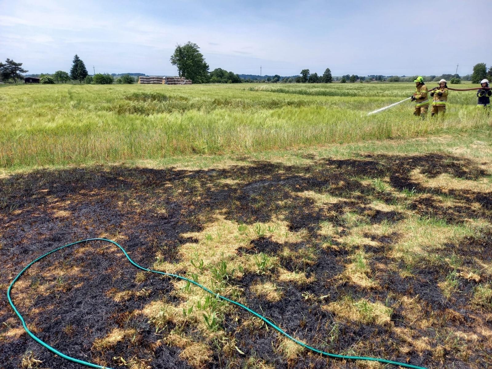 Zdjęcie w galerii na portalu naszraciborz.pl: Raport 998. Pożar trawy i zboża na pniu w Budziskach wiadomości z regionu
