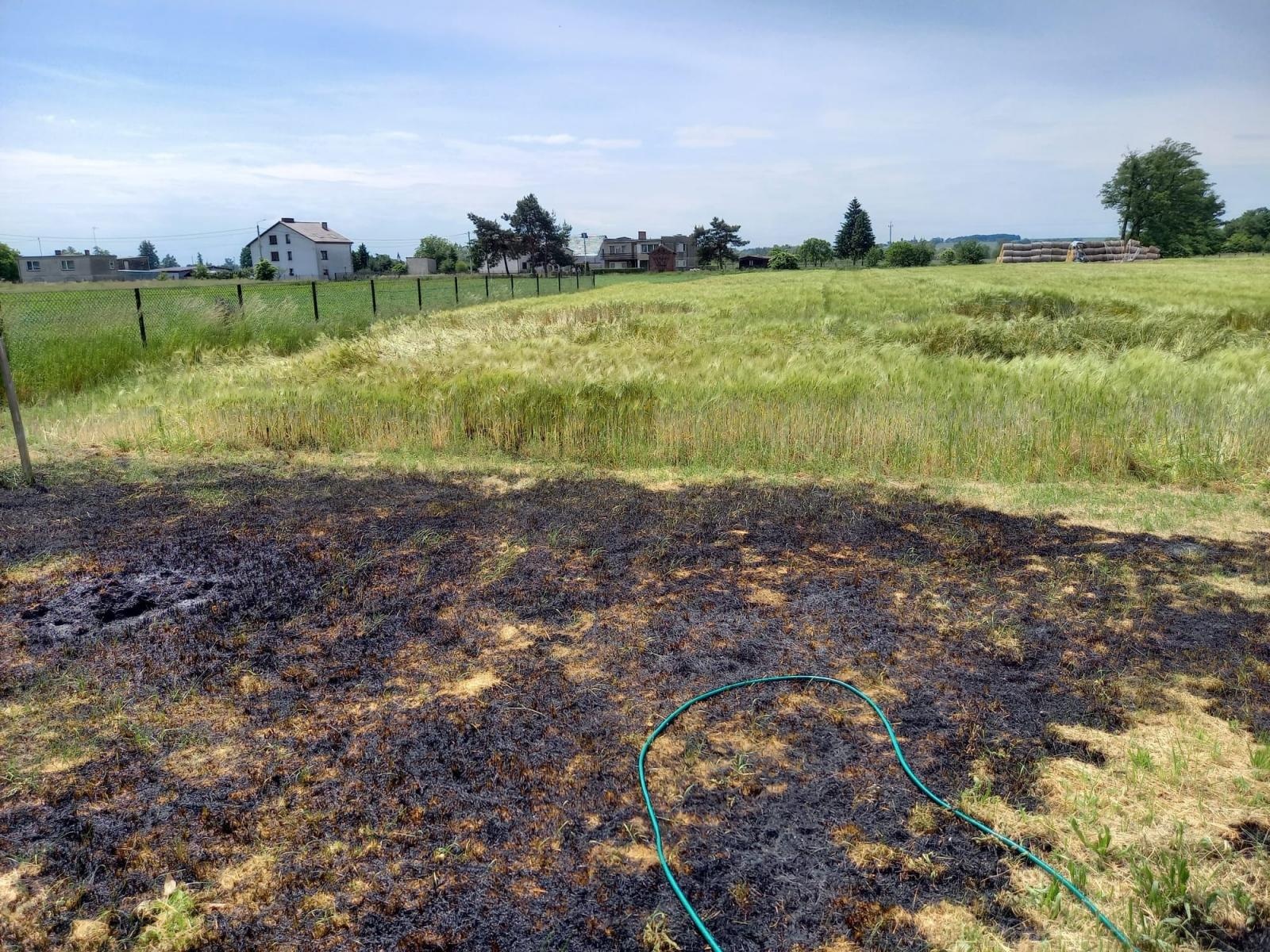 Zdjęcie w galerii na portalu naszraciborz.pl: Raport 998. Pożar trawy i zboża na pniu w Budziskach wiadomości z regionu