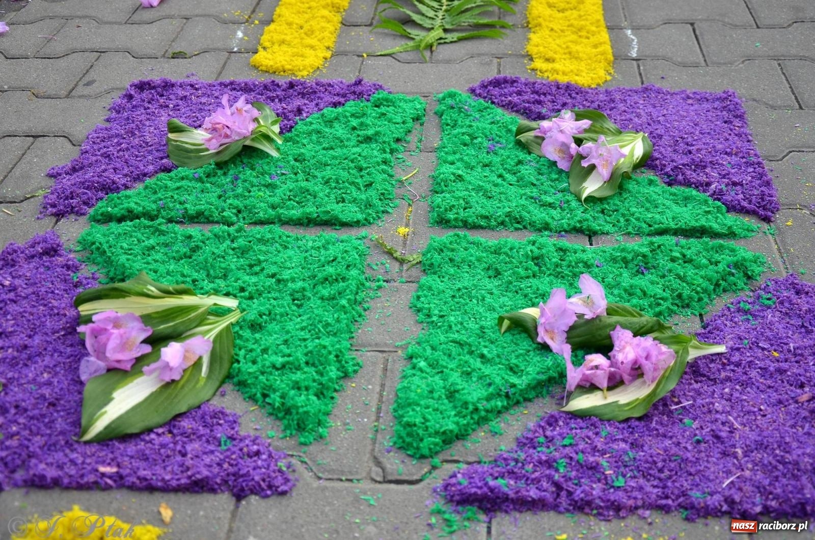 Zdjęcie w galerii na portalu naszraciborz.pl: Pracowali od świtu. Parafie NSPJ i Matka Boża gotowe na Boże Ciało [FOTO] wiadomości z regionu