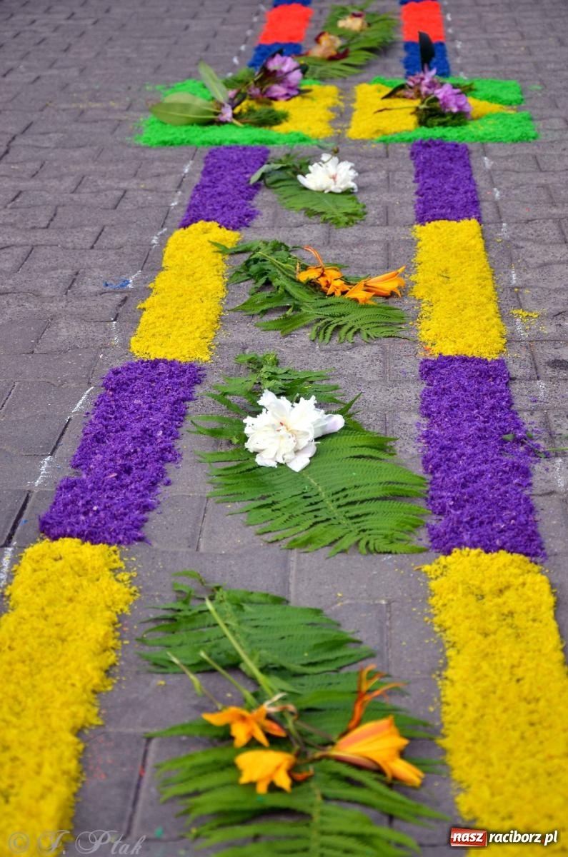 Zdjęcie w galerii na portalu naszraciborz.pl: Pracowali od świtu. Parafie NSPJ i Matka Boża gotowe na Boże Ciało [FOTO] wiadomości z regionu