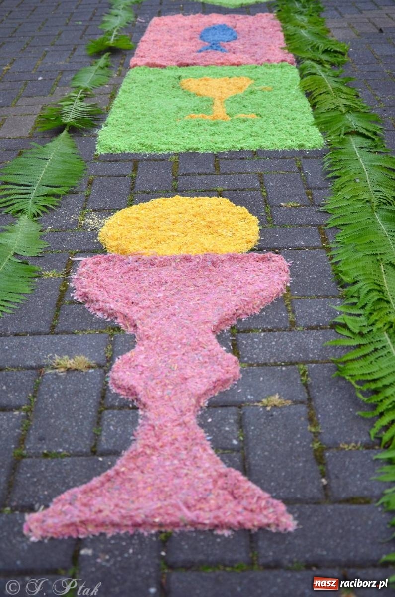 Zdjęcie w galerii na portalu naszraciborz.pl: Pracowali od świtu. Parafie NSPJ i Matka Boża gotowe na Boże Ciało [FOTO] wiadomości z regionu