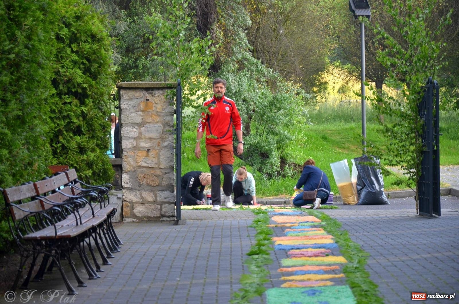 Zdjęcie w galerii na portalu naszraciborz.pl: Pracowali od świtu. Parafie NSPJ i Matka Boża gotowe na Boże Ciało [FOTO] wiadomości z regionu
