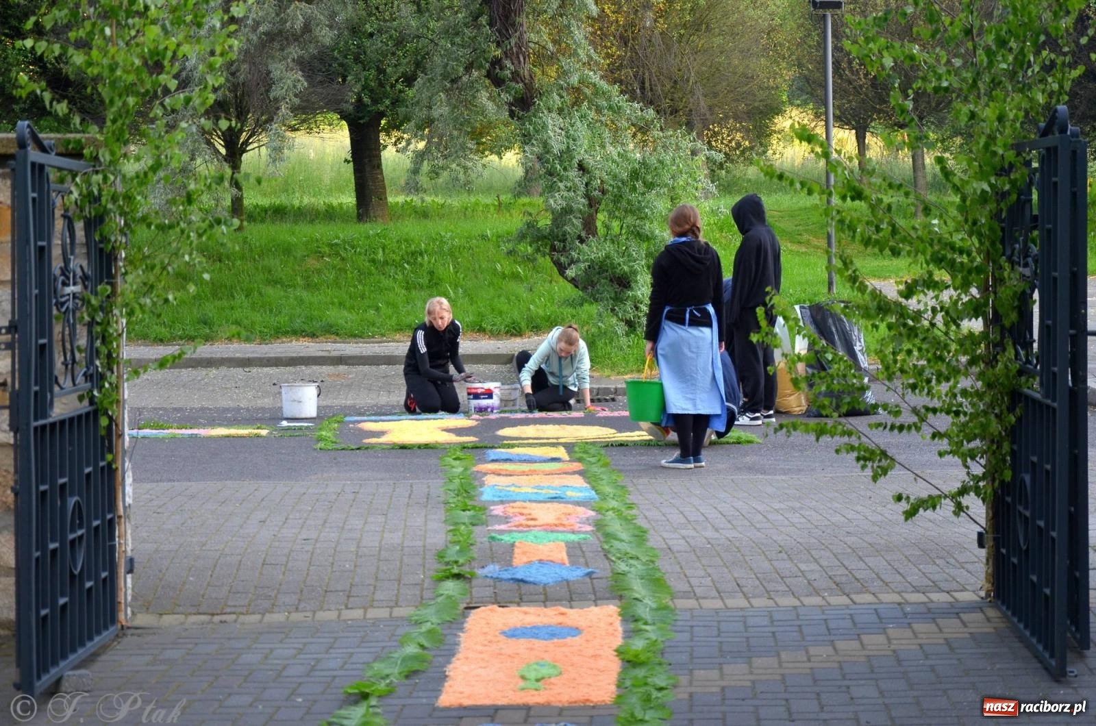 Zdjęcie w galerii na portalu naszraciborz.pl: Pracowali od świtu. Parafie NSPJ i Matka Boża gotowe na Boże Ciało [FOTO] wiadomości z regionu