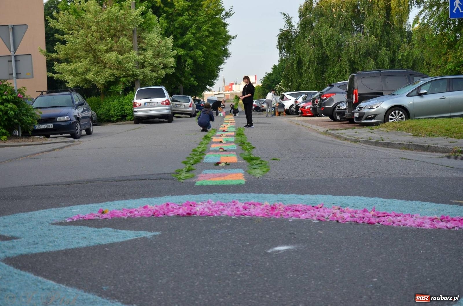 Zdjęcie w galerii na portalu naszraciborz.pl: Pracowali od świtu. Parafie NSPJ i Matka Boża gotowe na Boże Ciało [FOTO] wiadomości z regionu