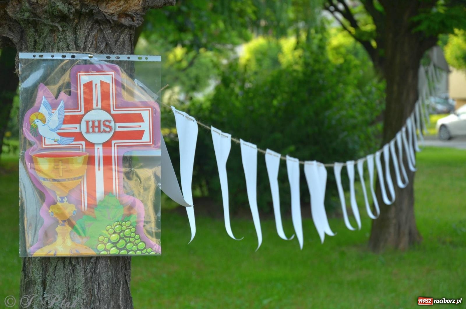 Zdjęcie w galerii na portalu naszraciborz.pl: Pracowali od świtu. Parafie NSPJ i Matka Boża gotowe na Boże Ciało [FOTO] wiadomości z regionu