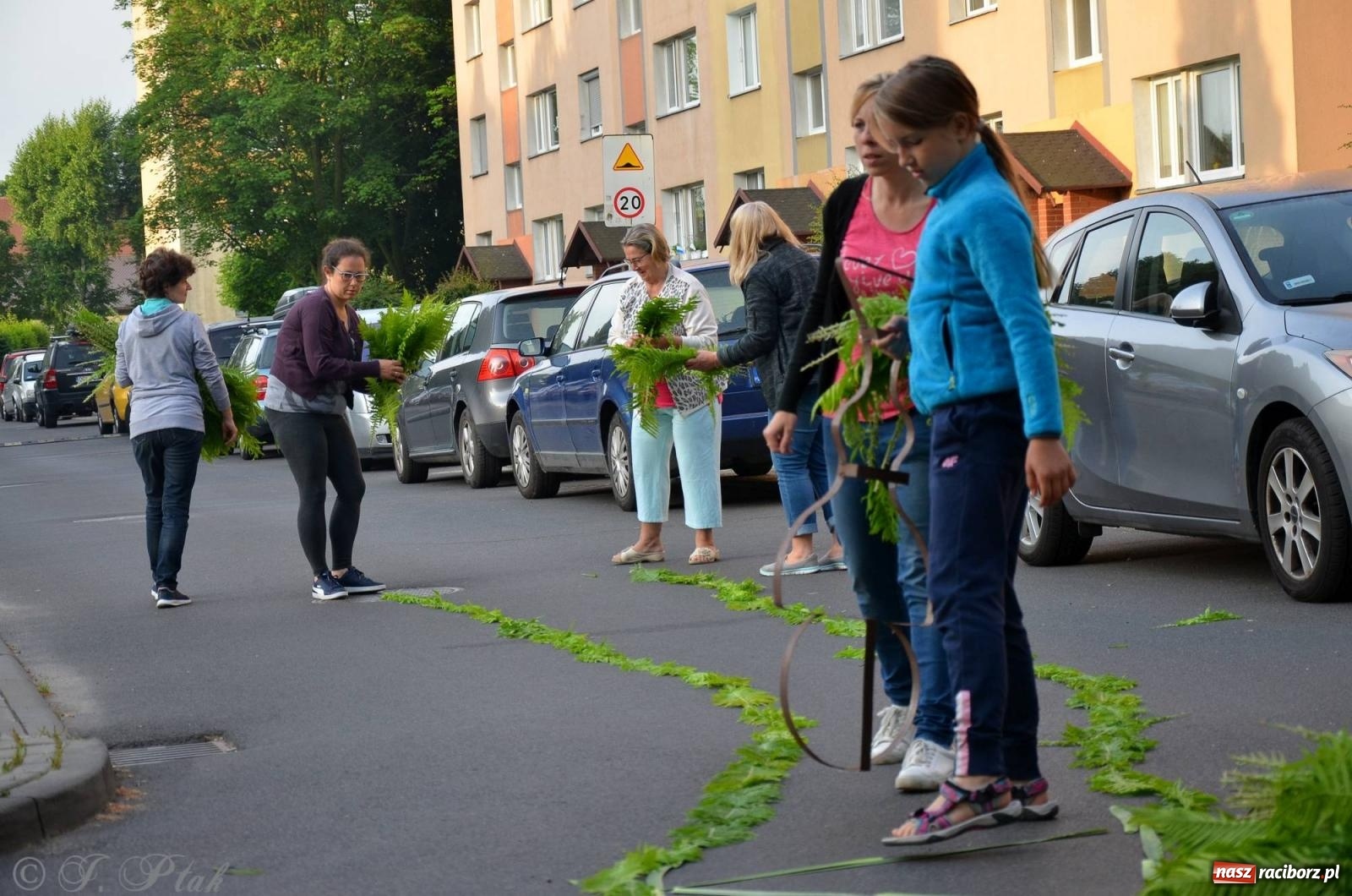 Zdjęcie w galerii na portalu naszraciborz.pl: Pracowali od świtu. Parafie NSPJ i Matka Boża gotowe na Boże Ciało [FOTO] wiadomości z regionu