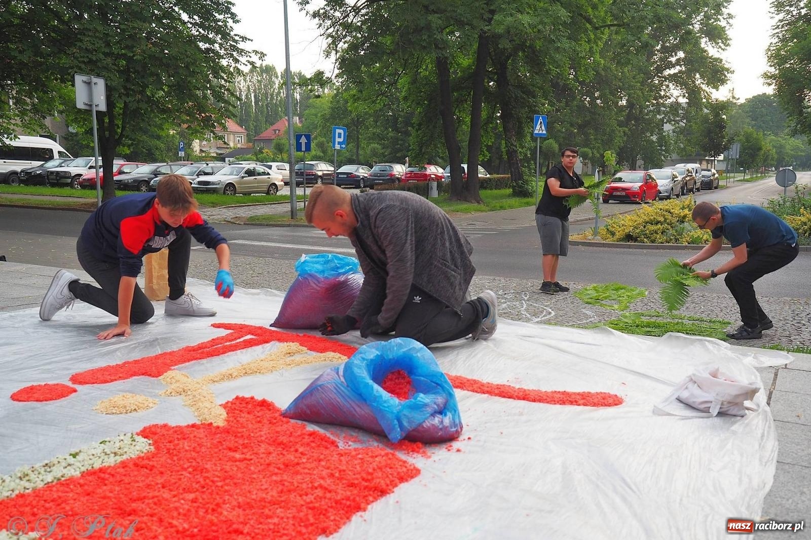 Zdjęcie w galerii na portalu naszraciborz.pl: Pracowali od świtu. Parafie NSPJ i Matka Boża gotowe na Boże Ciało [FOTO] wiadomości z regionu