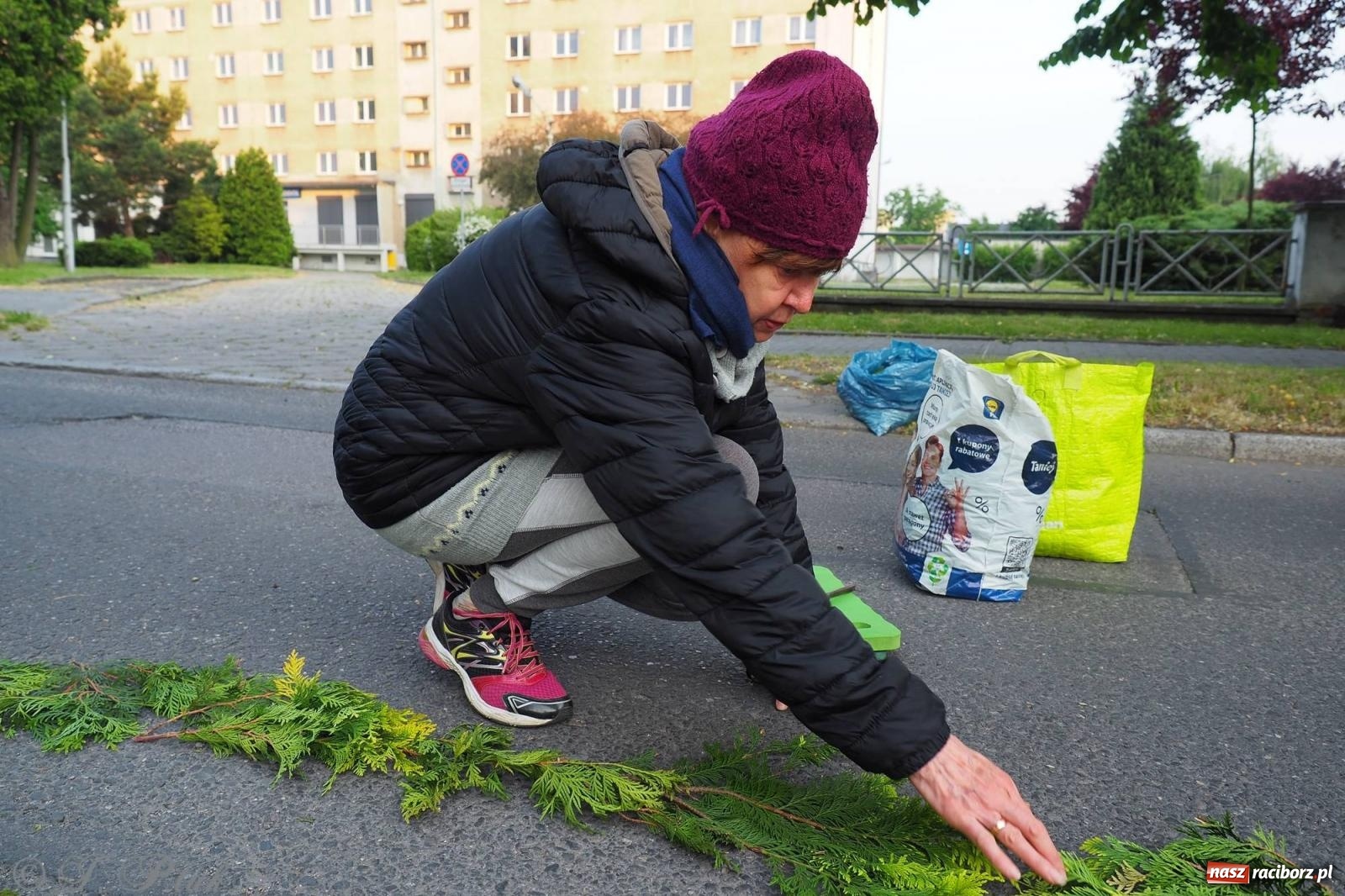 Zdjęcie w galerii na portalu naszraciborz.pl: Pracowali od świtu. Parafie NSPJ i Matka Boża gotowe na Boże Ciało [FOTO] wiadomości z regionu