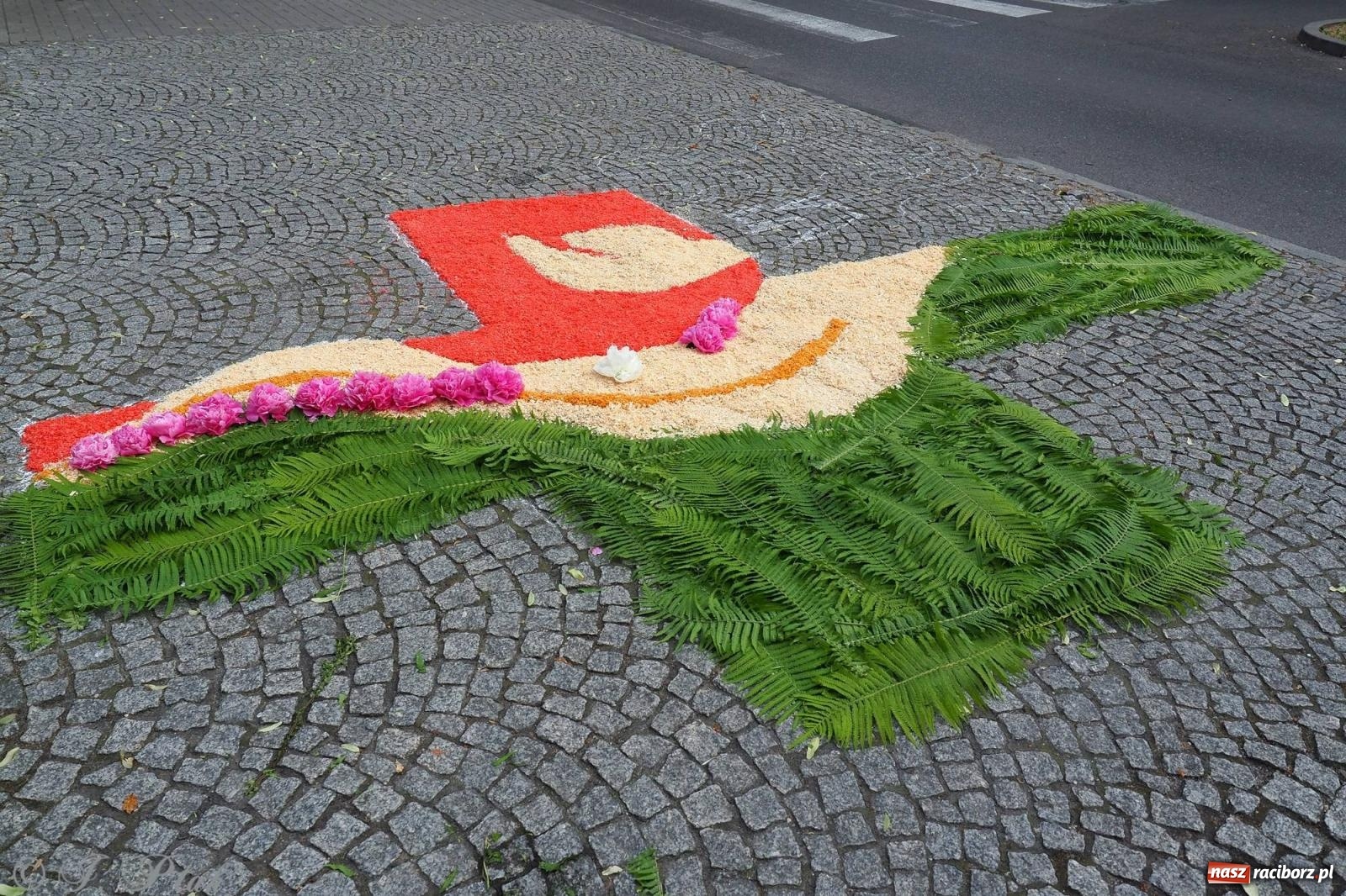 Zdjęcie w galerii na portalu naszraciborz.pl: Pracowali od świtu. Parafie NSPJ i Matka Boża gotowe na Boże Ciało [FOTO] wiadomości z regionu