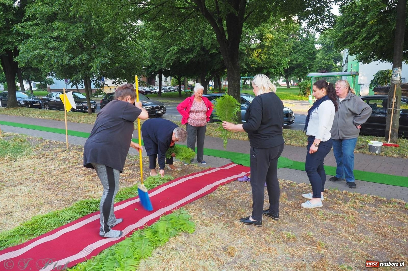 Zdjęcie w galerii na portalu naszraciborz.pl: Pracowali od świtu. Parafie NSPJ i Matka Boża gotowe na Boże Ciało [FOTO] wiadomości z regionu