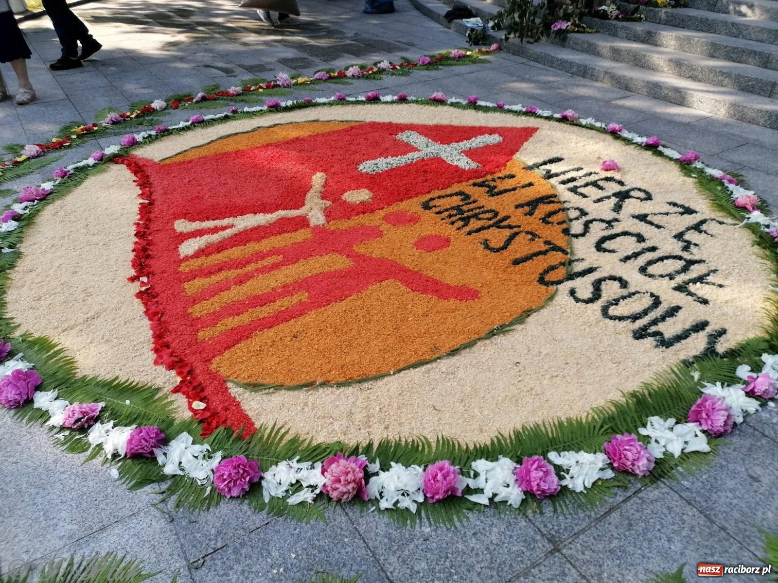 Zdjęcie w galerii na portalu naszraciborz.pl: Pracowali od świtu. Parafie NSPJ i Matka Boża gotowe na Boże Ciało [FOTO] wiadomości z regionu