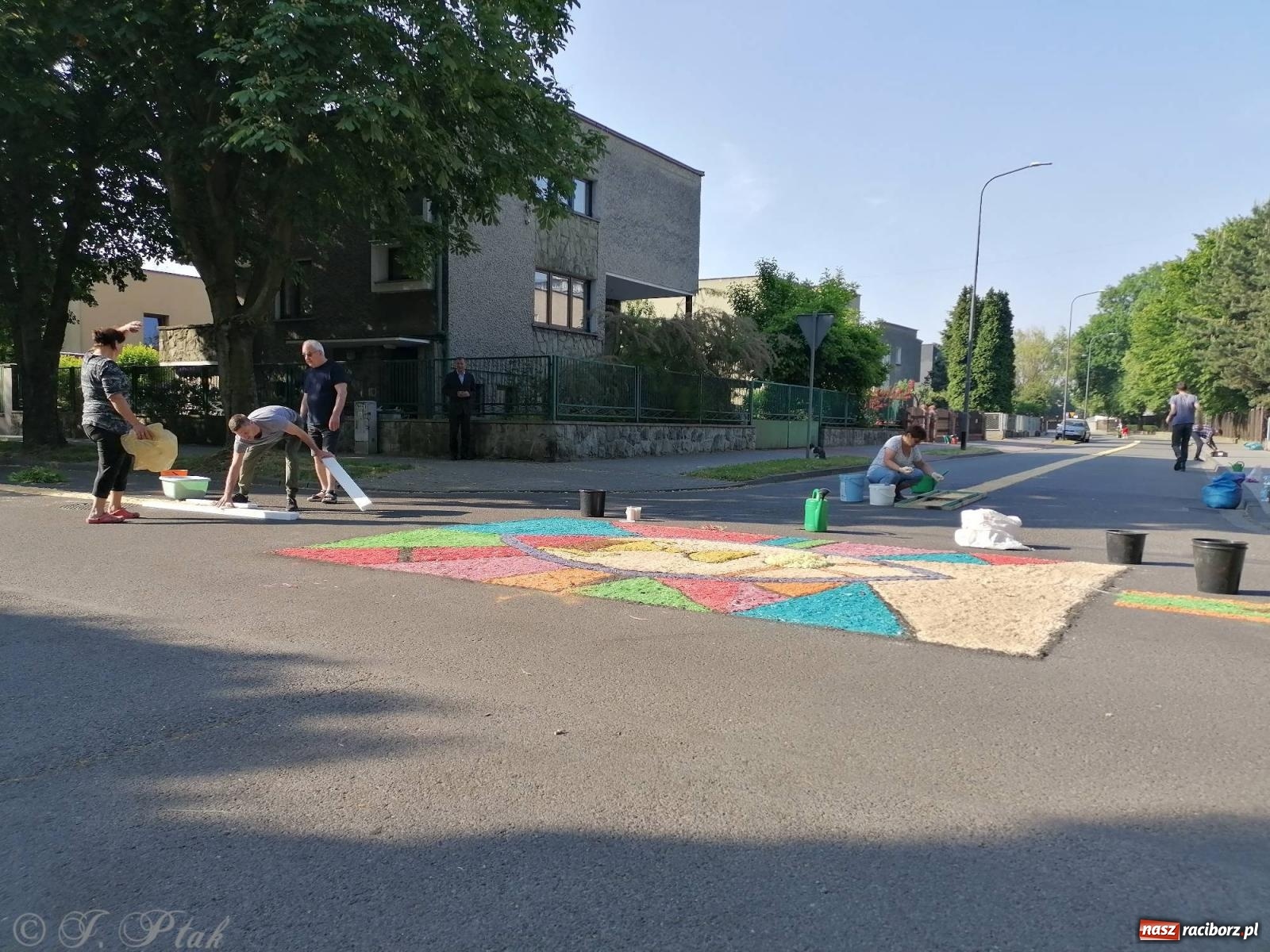 Zdjęcie w galerii na portalu naszraciborz.pl: Pracowali od świtu. Parafie NSPJ i Matka Boża gotowe na Boże Ciało [FOTO] wiadomości z regionu