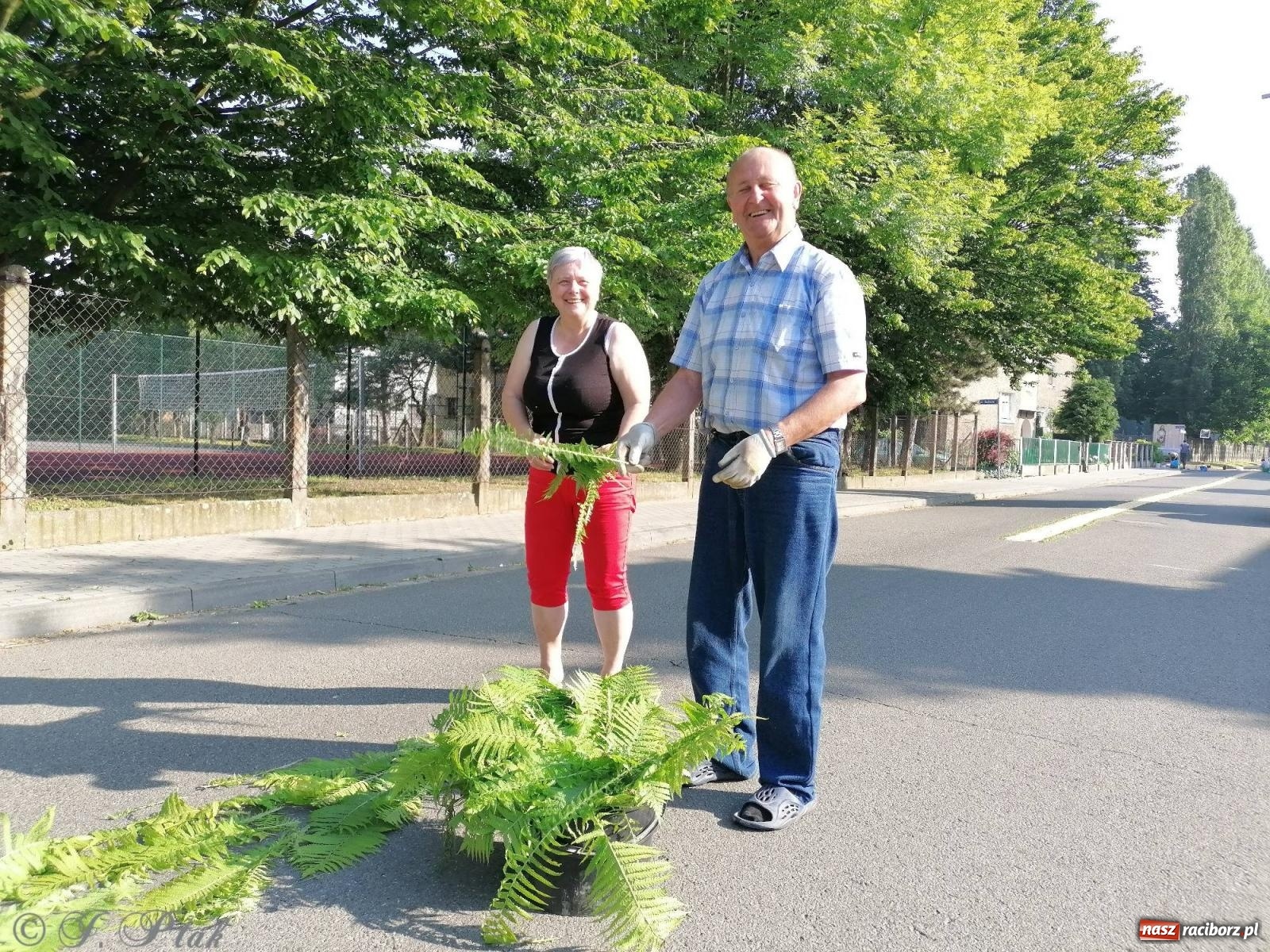 Zdjęcie w galerii na portalu naszraciborz.pl: Pracowali od świtu. Parafie NSPJ i Matka Boża gotowe na Boże Ciało [FOTO] wiadomości z regionu