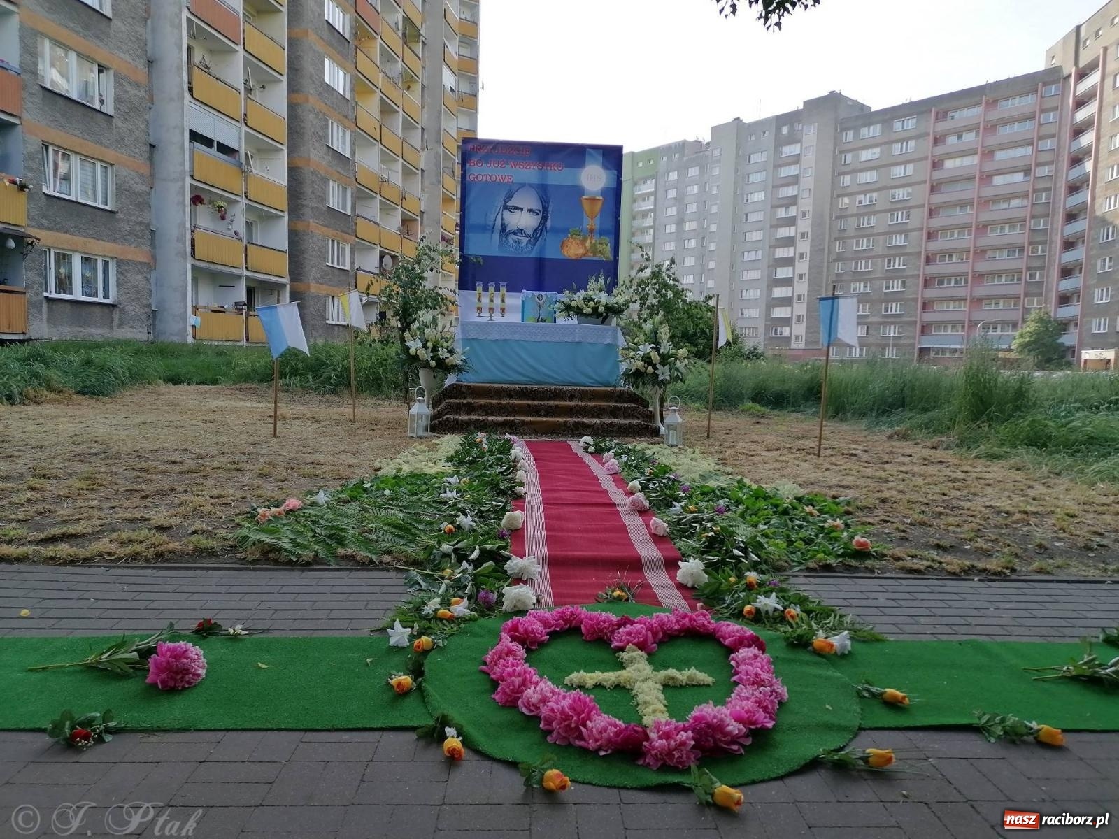 Zdjęcie w galerii na portalu naszraciborz.pl: Pracowali od świtu. Parafie NSPJ i Matka Boża gotowe na Boże Ciało [FOTO] wiadomości z regionu