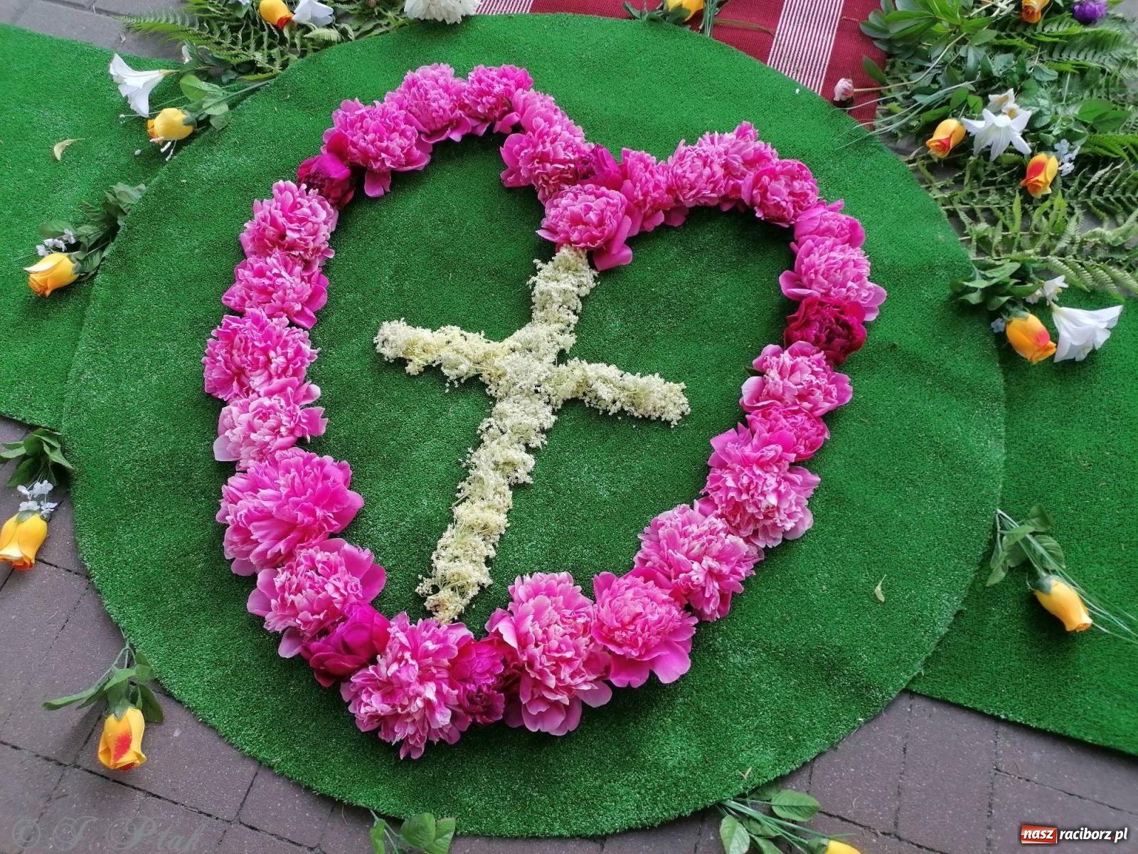 Zdjęcie w galerii na portalu naszraciborz.pl: Pracowali od świtu. Parafie NSPJ i Matka Boża gotowe na Boże Ciało [FOTO] wiadomości z regionu