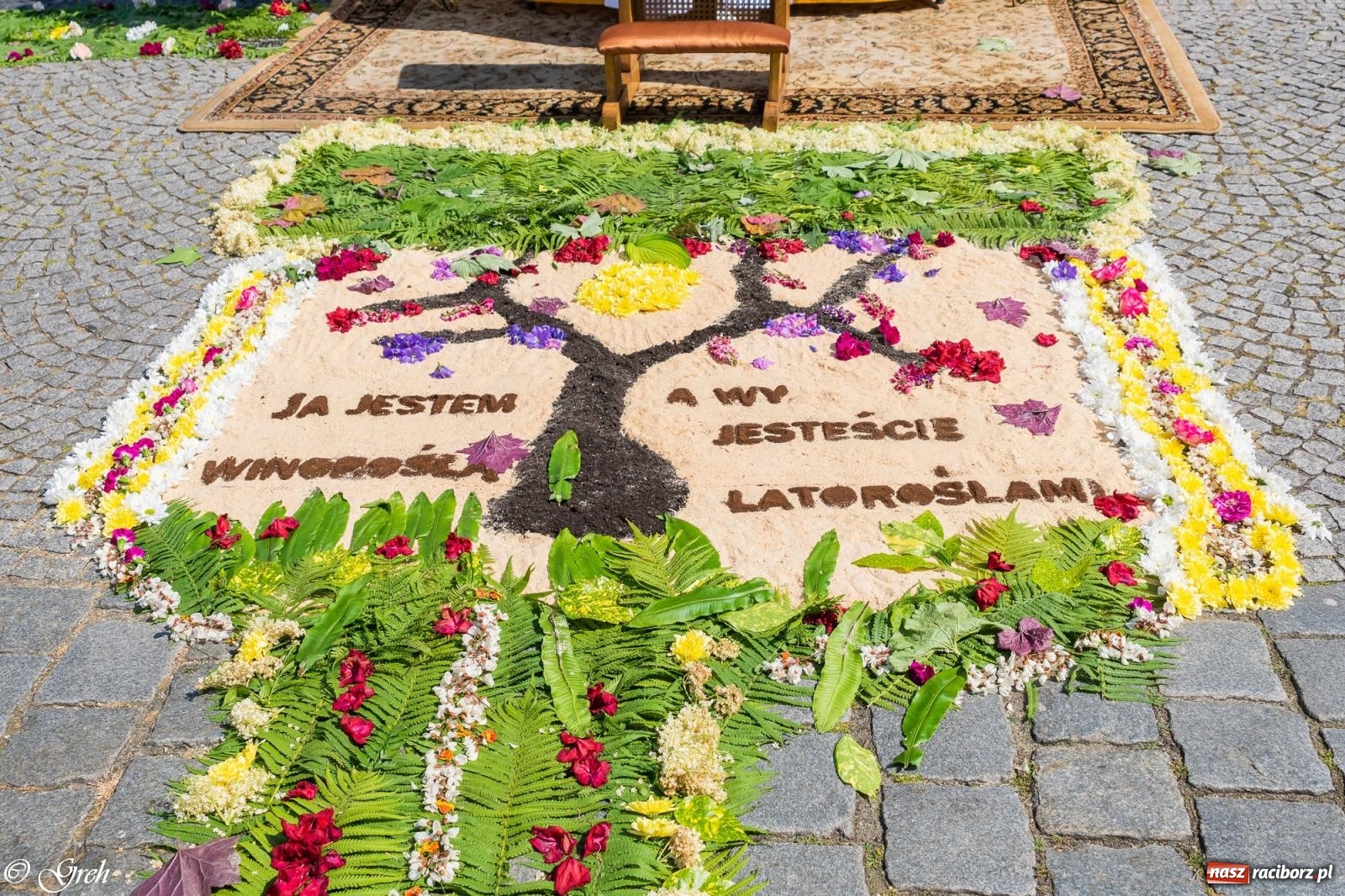Zdjęcie w galerii na portalu naszraciborz.pl: Boże Ciało w parafii WNMP w Raciborzu [FOTO i WIDEO] wiadomości z regionu