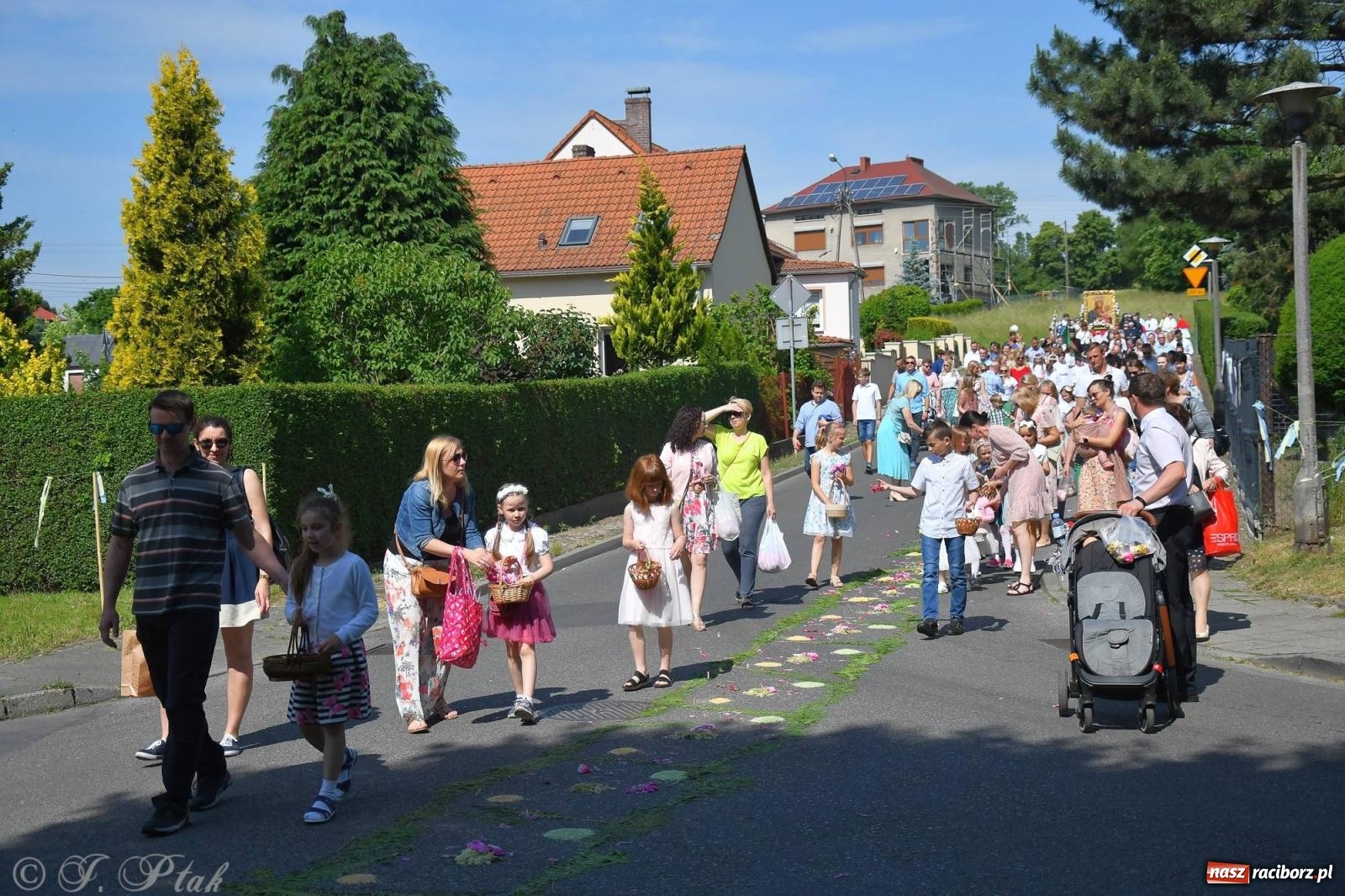 Zdjęcie w galerii na portalu naszraciborz.pl: Idzie Bóg prawdziwy. Boże Ciało w parafii Matki Bożej wiadomości z regionu