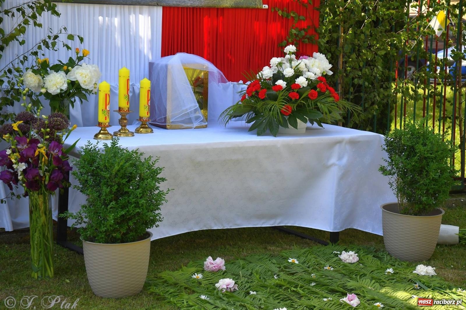 Zdjęcie w galerii na portalu naszraciborz.pl: Idzie Bóg prawdziwy. Boże Ciało w parafii Matki Bożej wiadomości z regionu