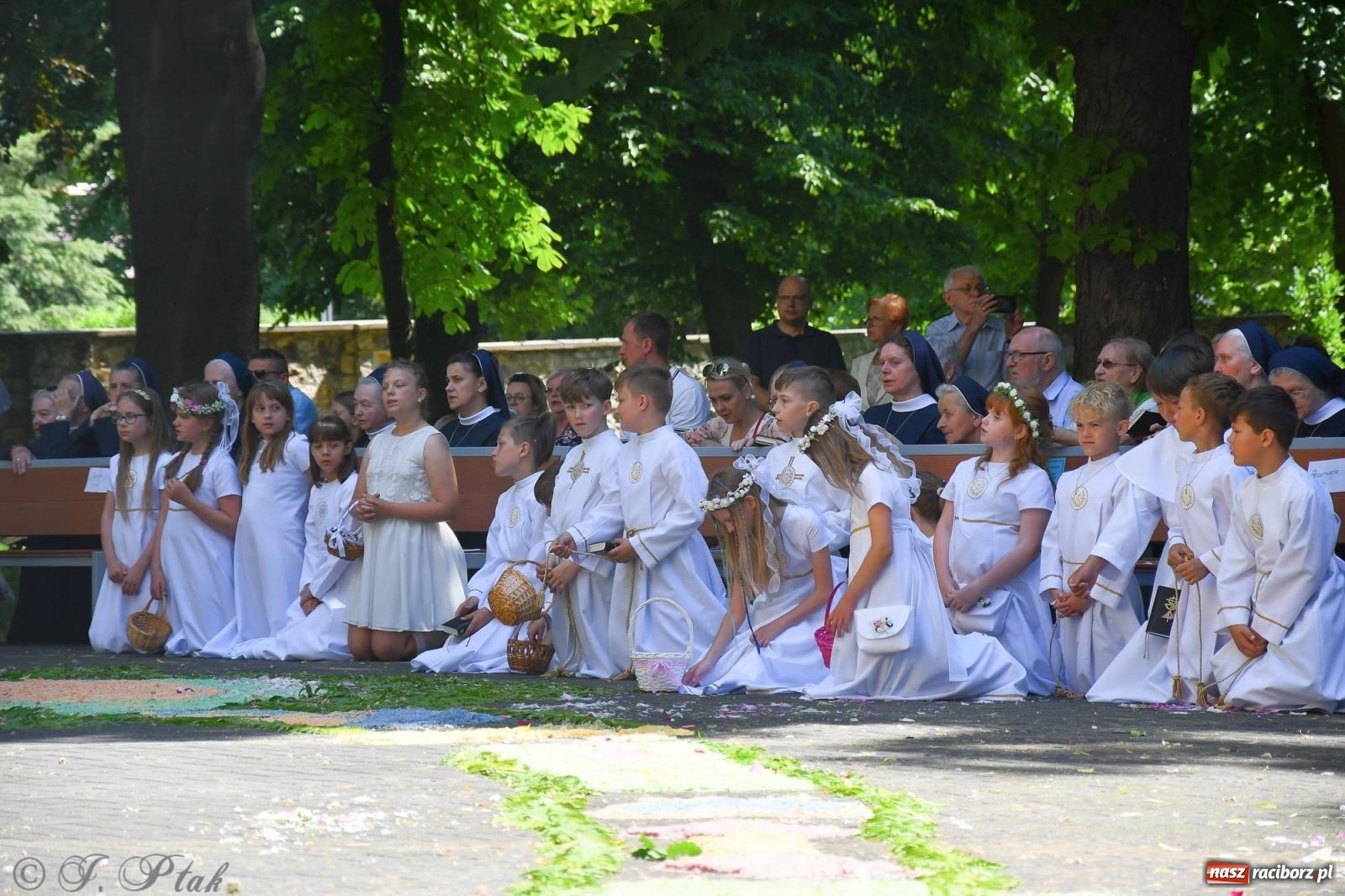 Zdjęcie w galerii na portalu naszraciborz.pl: Idzie Bóg prawdziwy. Boże Ciało w parafii Matki Bożej wiadomości z regionu