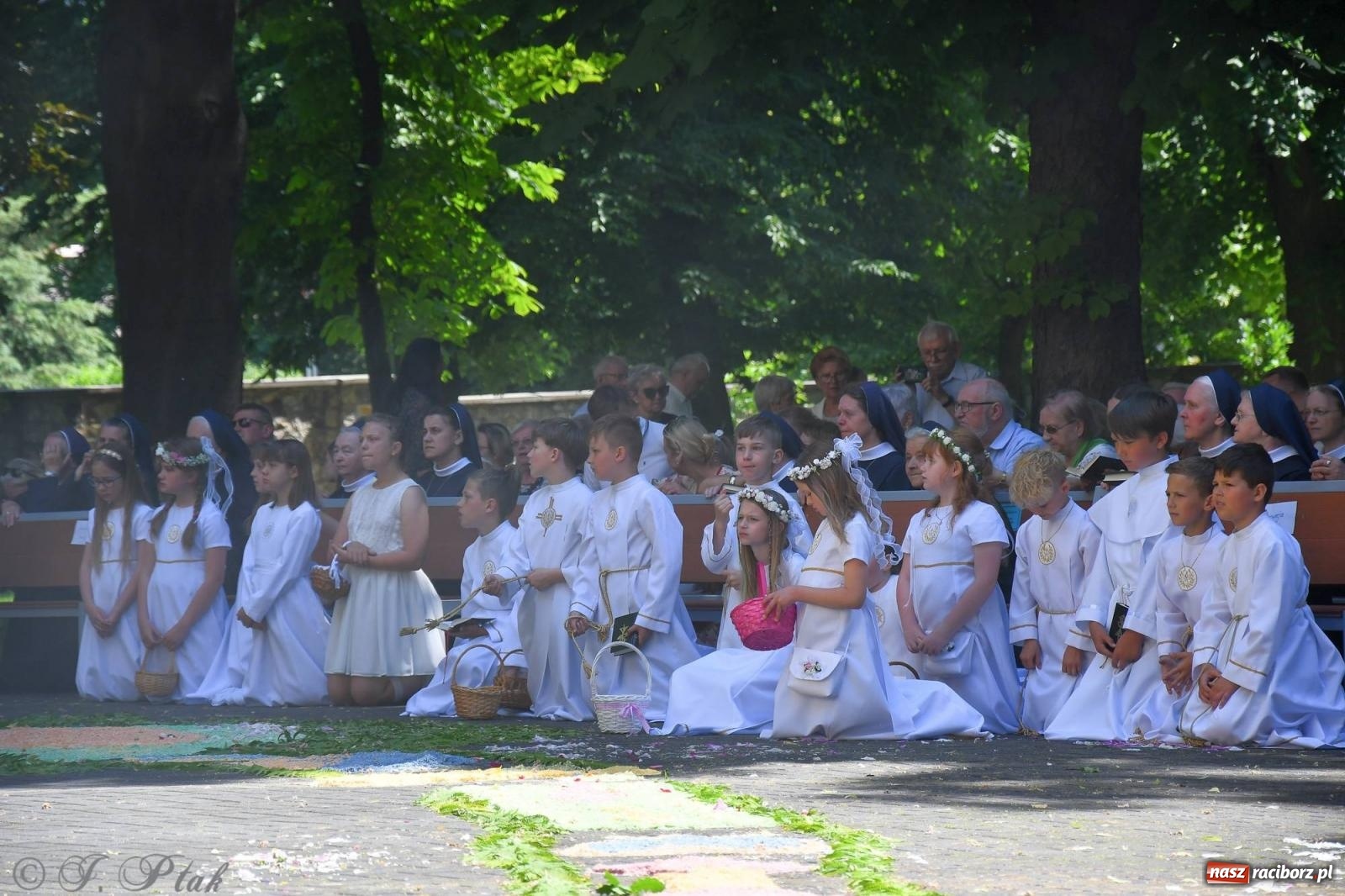 Zdjęcie w galerii na portalu naszraciborz.pl: Idzie Bóg prawdziwy. Boże Ciało w parafii Matki Bożej wiadomości z regionu