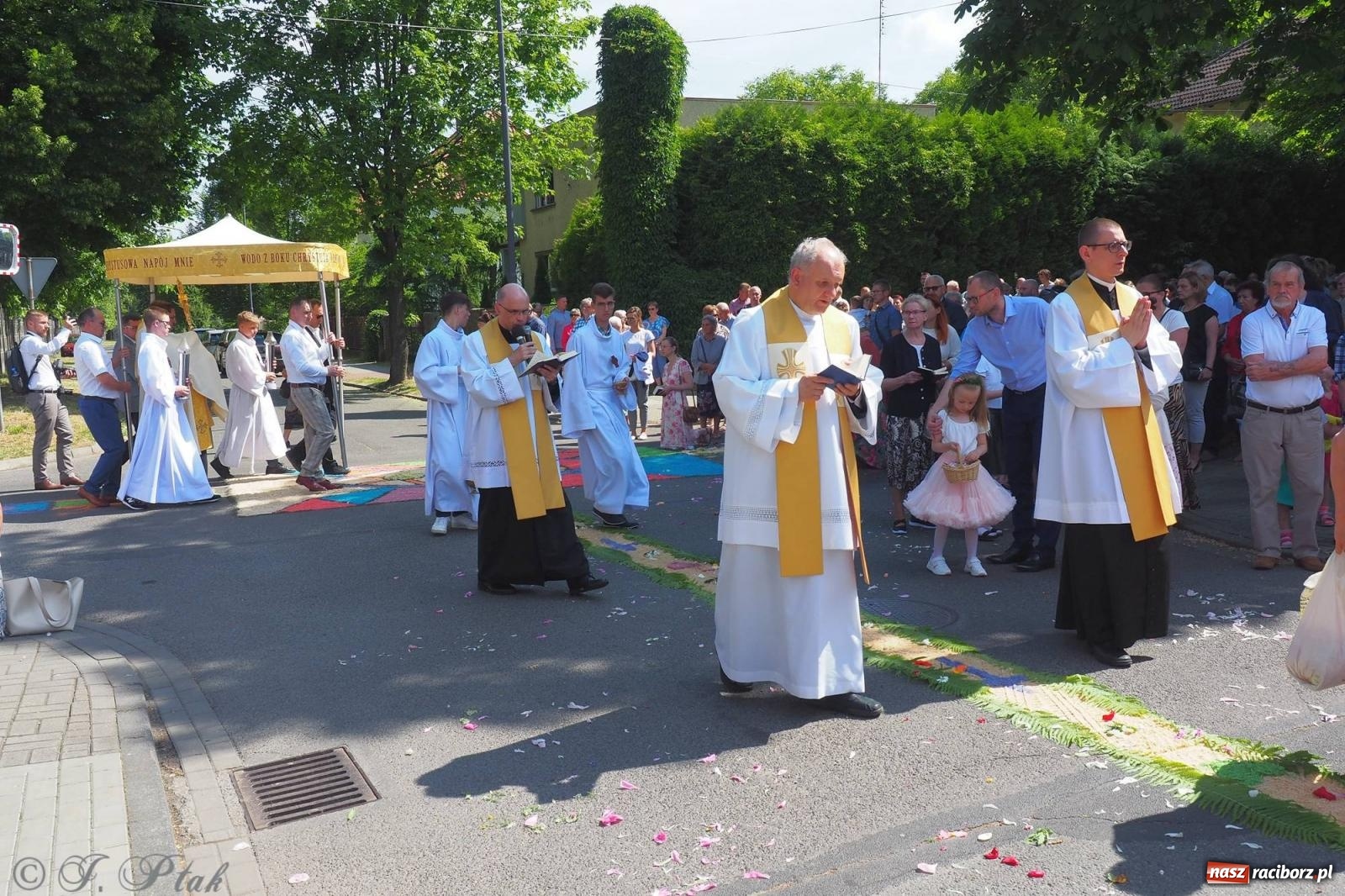 Zdjęcie w galerii na portalu naszraciborz.pl: Procesja Eucharystyczna to forma świadectwa. Boże Ciało w parafii NSPJ [FOTO i WIDEO] wiadomości z regionu
