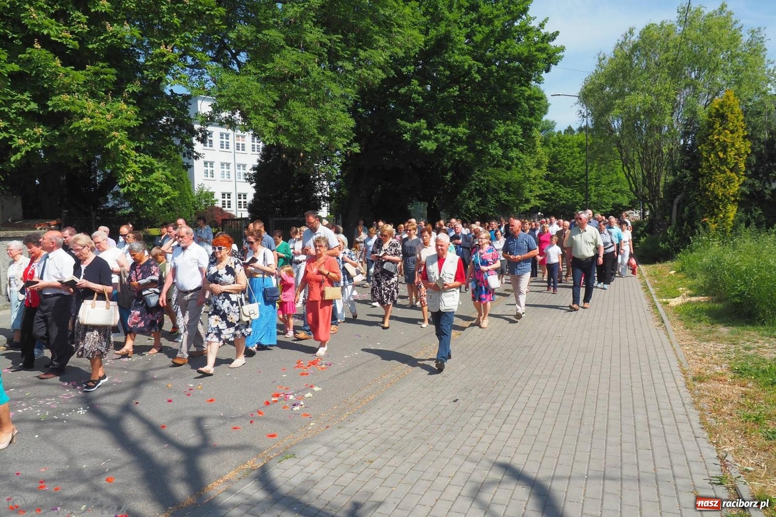 Zdjęcie w galerii na portalu naszraciborz.pl: Procesja Eucharystyczna to forma świadectwa. Boże Ciało w parafii NSPJ [FOTO i WIDEO] wiadomości z regionu