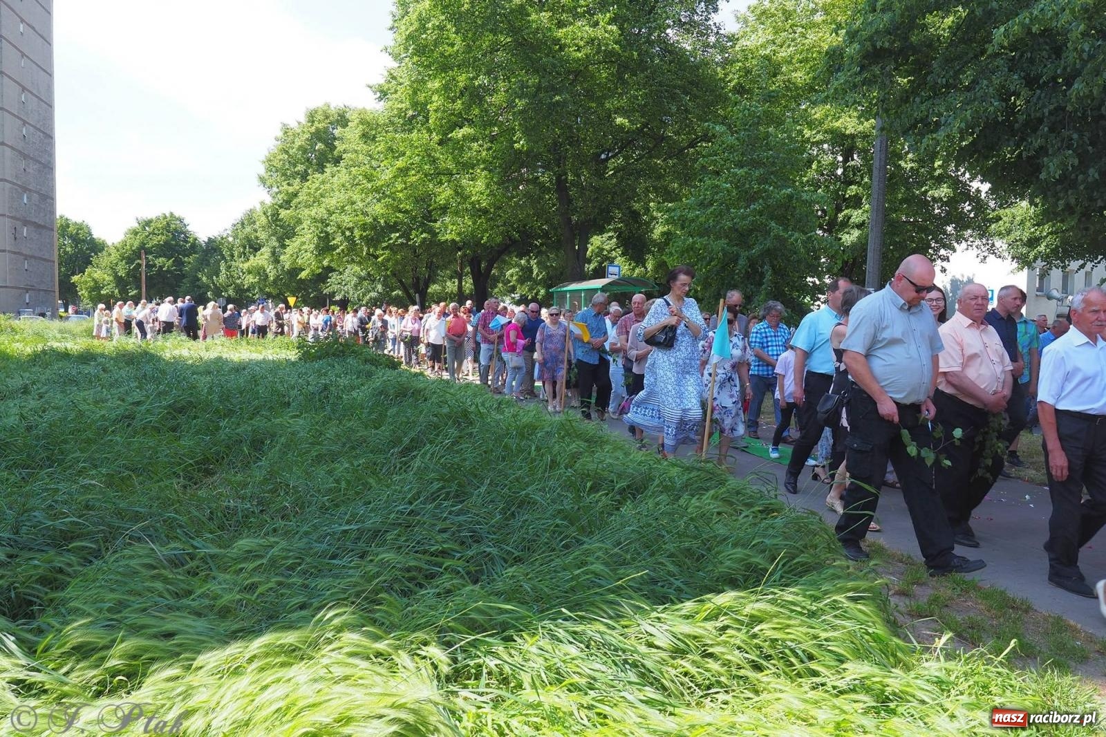 Zdjęcie w galerii na portalu naszraciborz.pl: Procesja Eucharystyczna to forma świadectwa. Boże Ciało w parafii NSPJ [FOTO i WIDEO] wiadomości z regionu