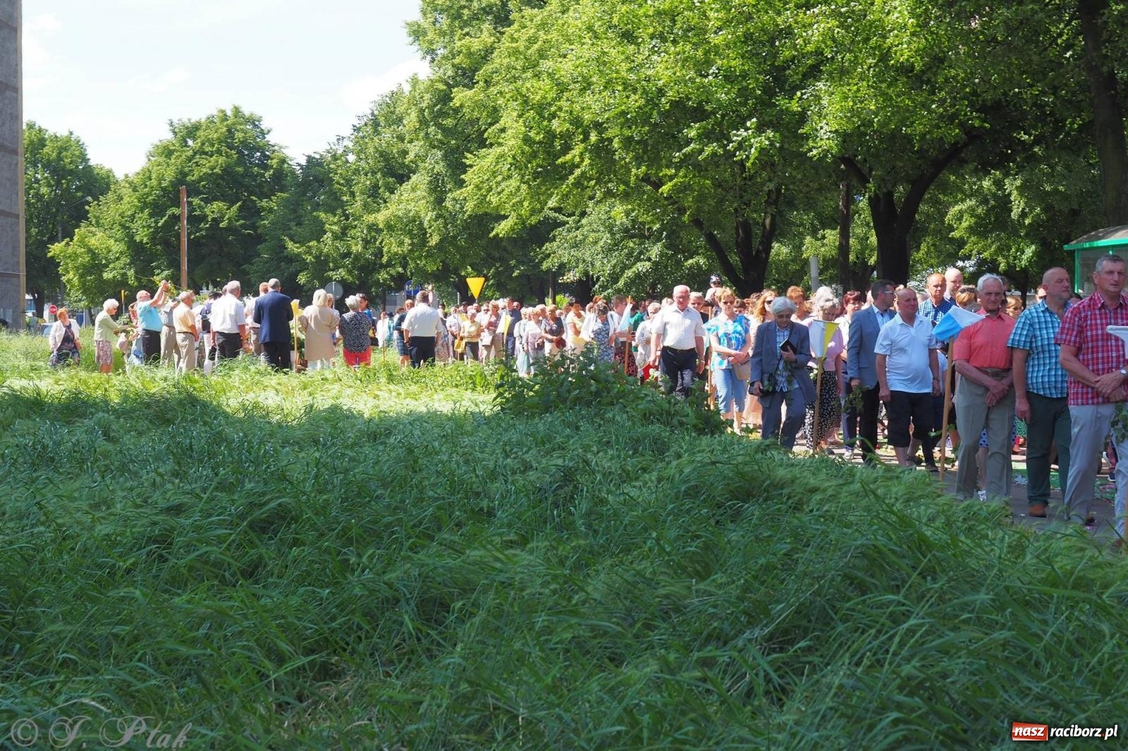 Zdjęcie w galerii na portalu naszraciborz.pl: Procesja Eucharystyczna to forma świadectwa. Boże Ciało w parafii NSPJ [FOTO i WIDEO] wiadomości z regionu