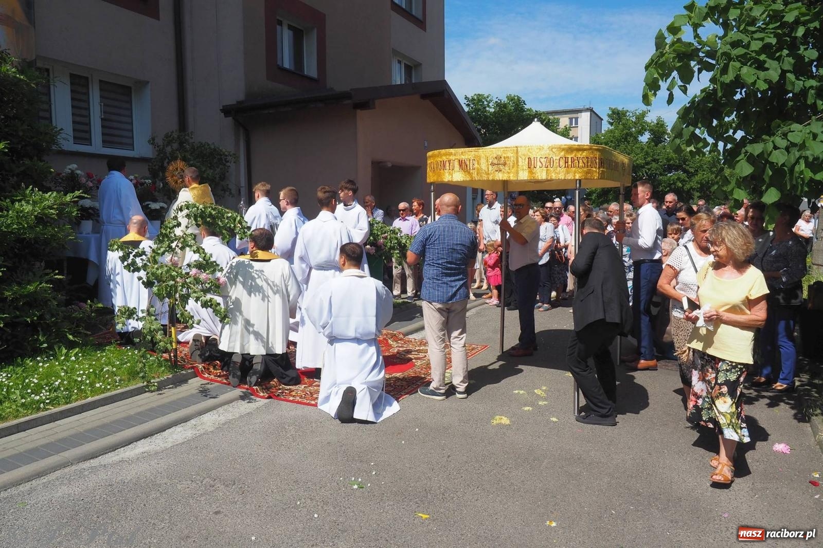 Zdjęcie w galerii na portalu naszraciborz.pl: Procesja Eucharystyczna to forma świadectwa. Boże Ciało w parafii NSPJ [FOTO i WIDEO] wiadomości z regionu