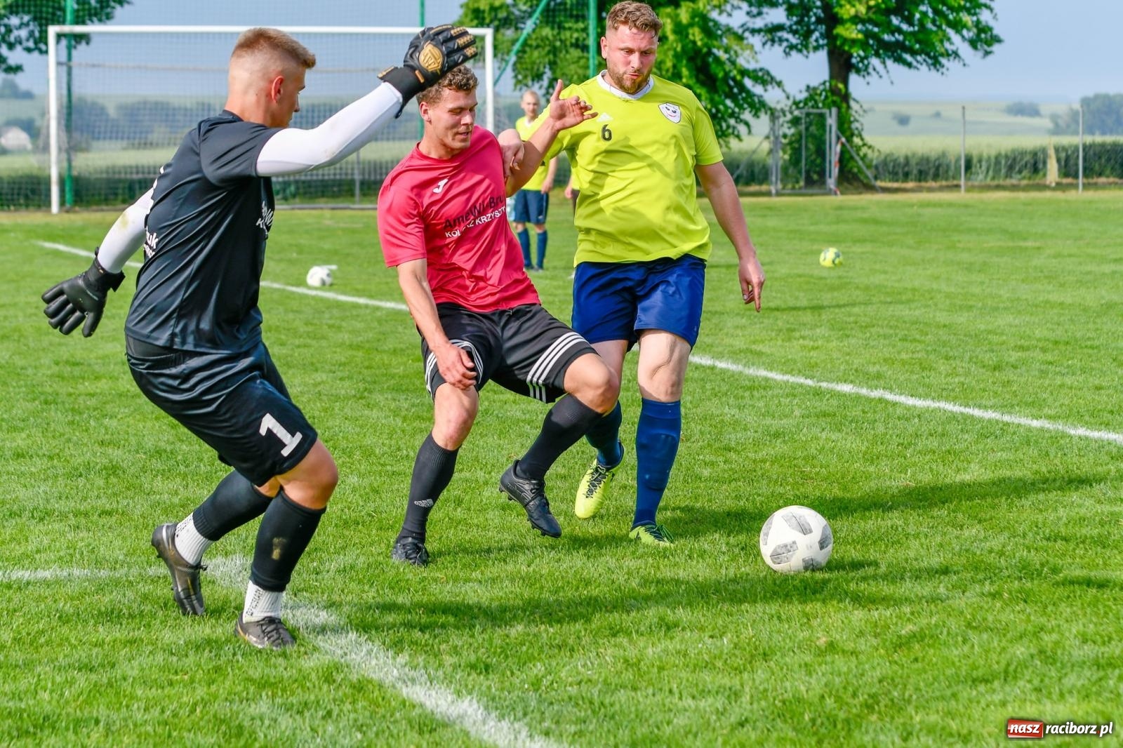 Zdjęcie w galerii na portalu naszraciborz.pl: Piłkarska rywalizacja dzikich drużyn w Borucinie [FOTO i WIDEO] wiadomości z regionu