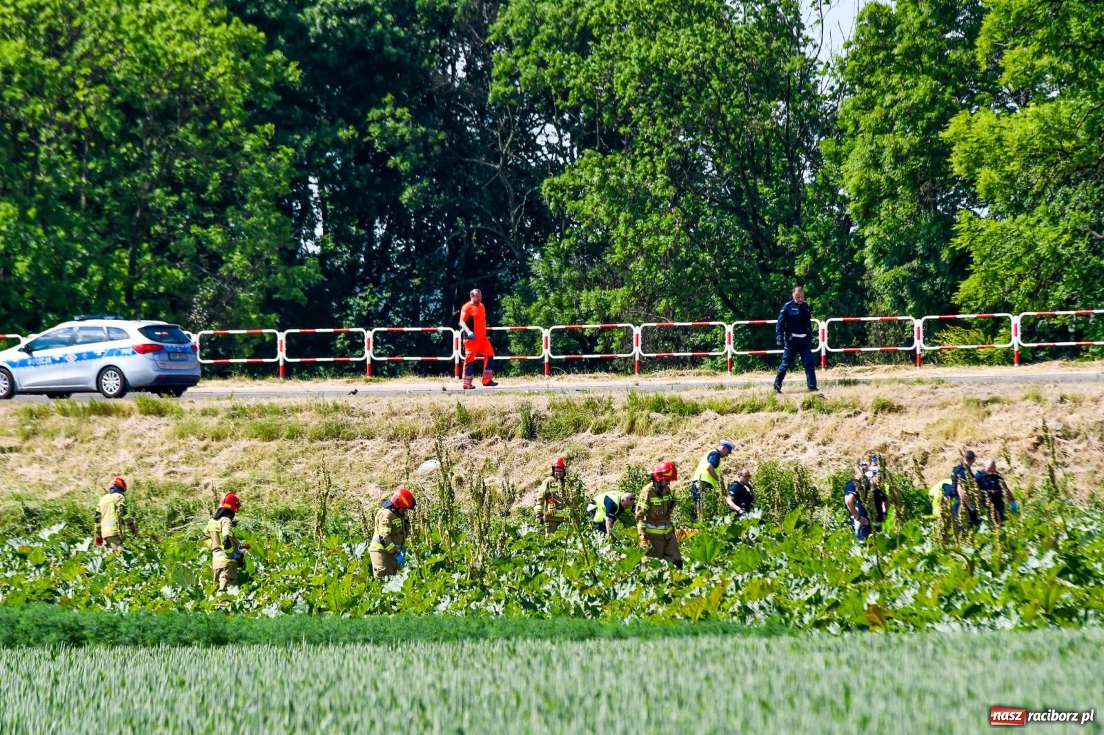 Zdjęcie w galerii na portalu naszraciborz.pl: Wypadek na trasie Racibórz - Żerdziny. Kierowca volkswagena nie zachował ostrożności przy wyprzedzaniu wiadomości z regionu