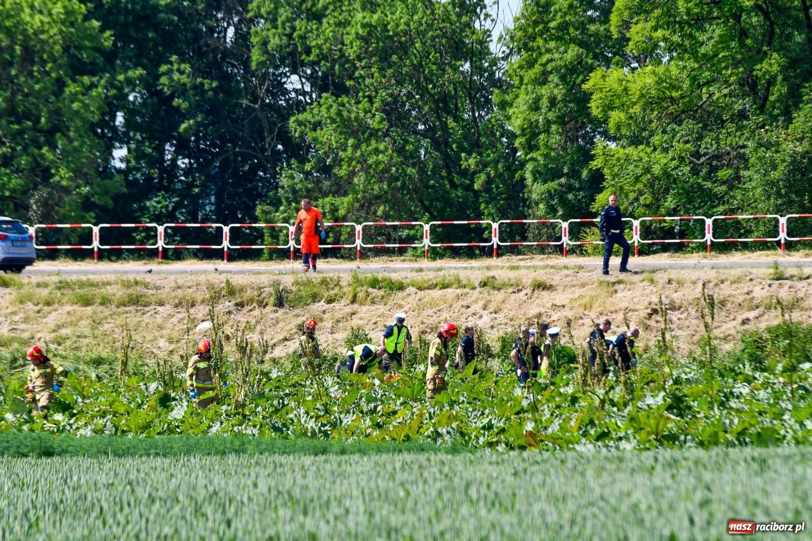 Zdjęcie w galerii na portalu naszraciborz.pl: Wypadek na trasie Racibórz - Żerdziny. Kierowca volkswagena nie zachował ostrożności przy wyprzedzaniu wiadomości z regionu
