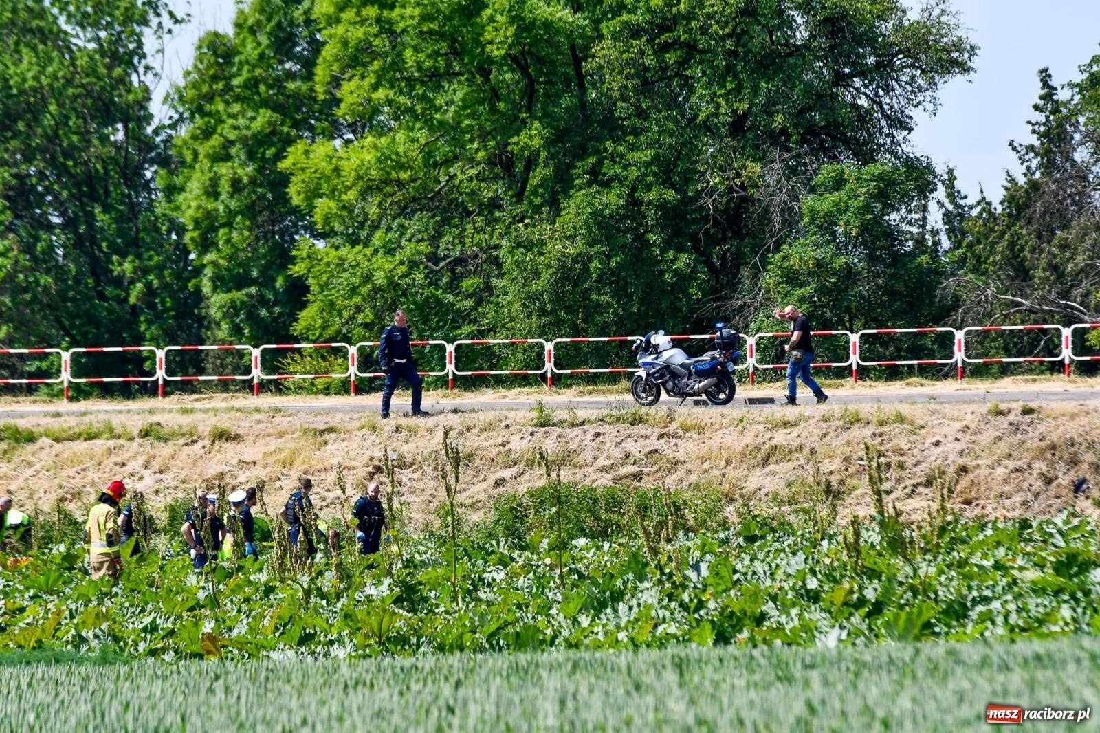Zdjęcie w galerii na portalu naszraciborz.pl: Wypadek na trasie Racibórz - Żerdziny. Kierowca volkswagena nie zachował ostrożności przy wyprzedzaniu wiadomości z regionu