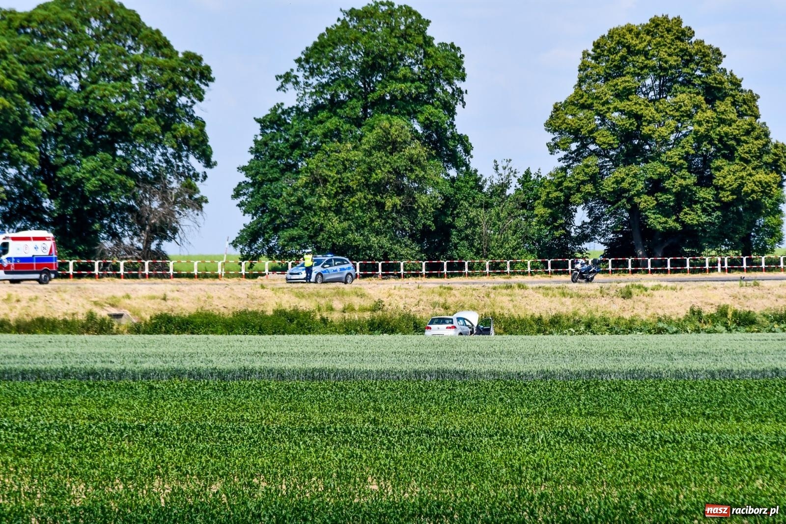 Zdjęcie w galerii na portalu naszraciborz.pl: Wypadek na trasie Racibórz - Żerdziny. Kierowca volkswagena nie zachował ostrożności przy wyprzedzaniu wiadomości z regionu