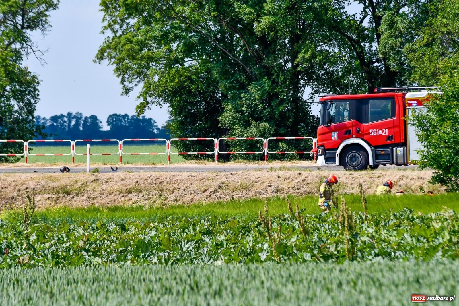 Zdjęcie w galerii na portalu naszraciborz.pl: Wypadek na trasie Racibórz - Żerdziny. Kierowca volkswagena nie zachował ostrożności przy wyprzedzaniu wiadomości z regionu