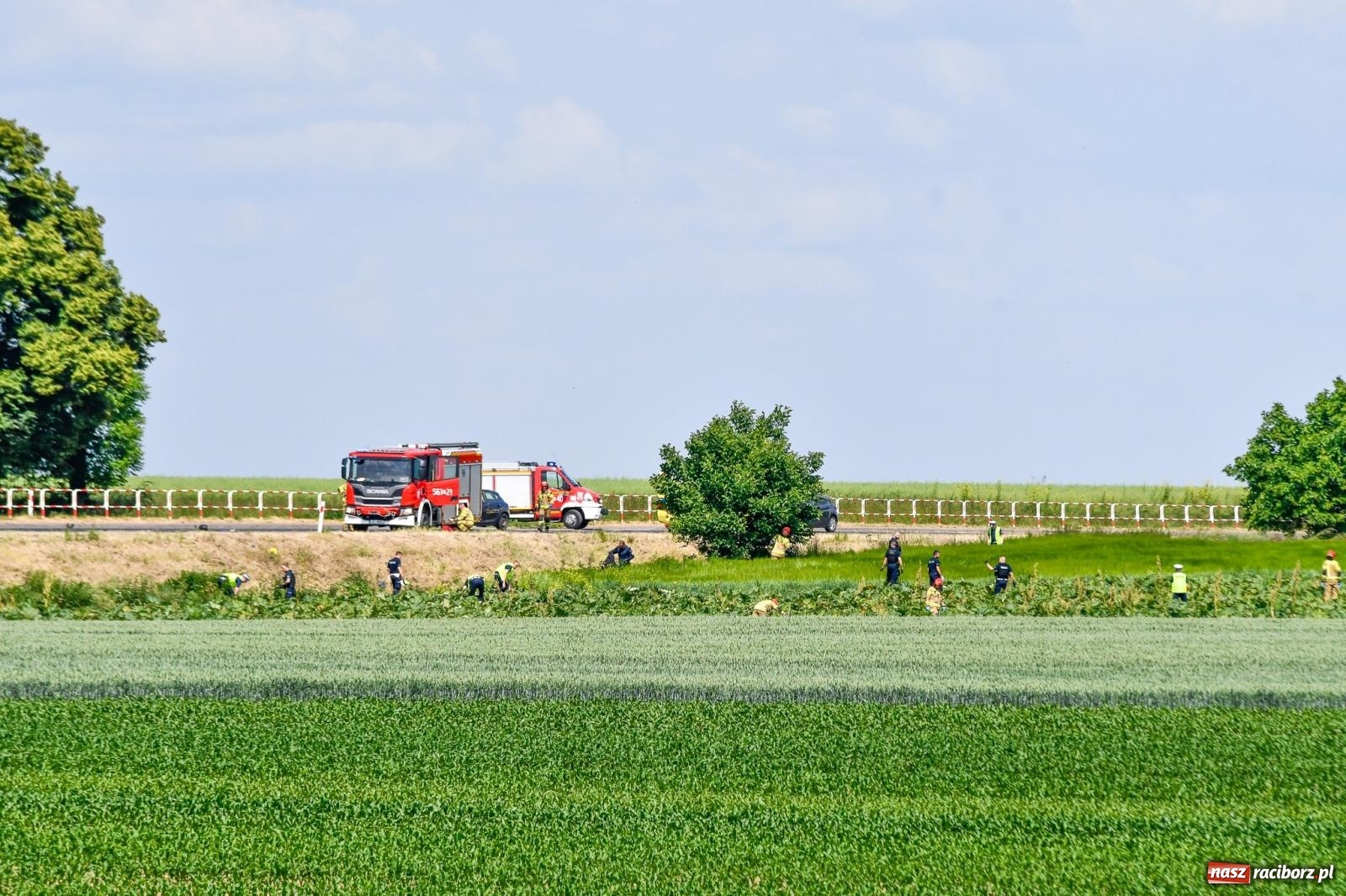 Zdjęcie w galerii na portalu naszraciborz.pl: Wypadek na trasie Racibórz - Żerdziny. Kierowca volkswagena nie zachował ostrożności przy wyprzedzaniu wiadomości z regionu