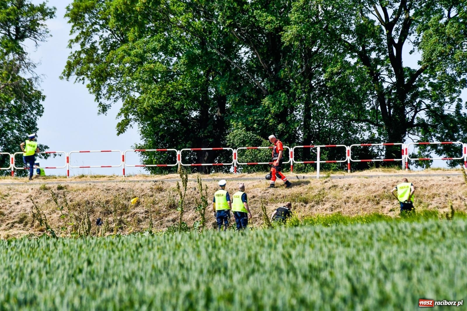 Zdjęcie w galerii na portalu naszraciborz.pl: Wypadek na trasie Racibórz - Żerdziny. Kierowca volkswagena nie zachował ostrożności przy wyprzedzaniu wiadomości z regionu