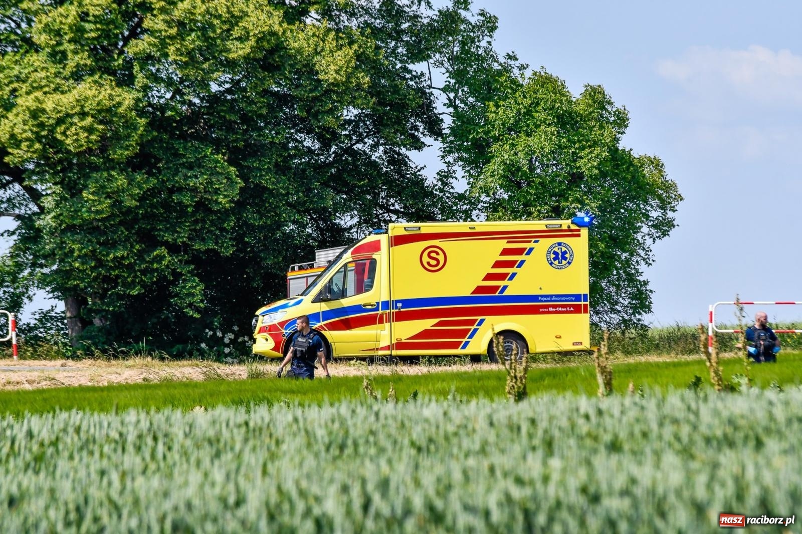 Zdjęcie w galerii na portalu naszraciborz.pl: Wypadek na trasie Racibórz - Żerdziny. Kierowca volkswagena nie zachował ostrożności przy wyprzedzaniu wiadomości z regionu