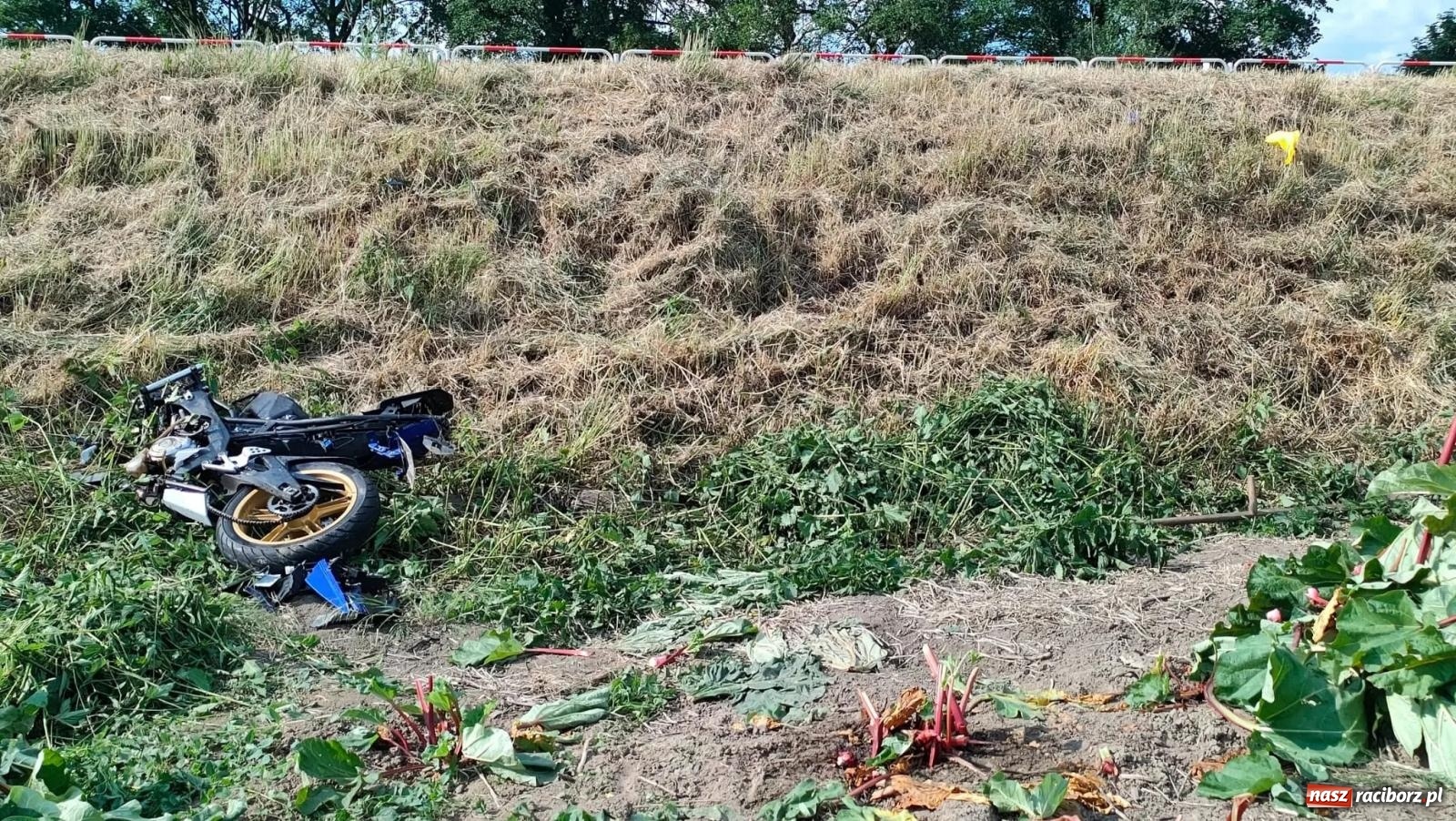 Zdjęcie w galerii na portalu naszraciborz.pl: Wypadek na trasie Racibórz - Żerdziny. Kierowca volkswagena nie zachował ostrożności przy wyprzedzaniu wiadomości z regionu