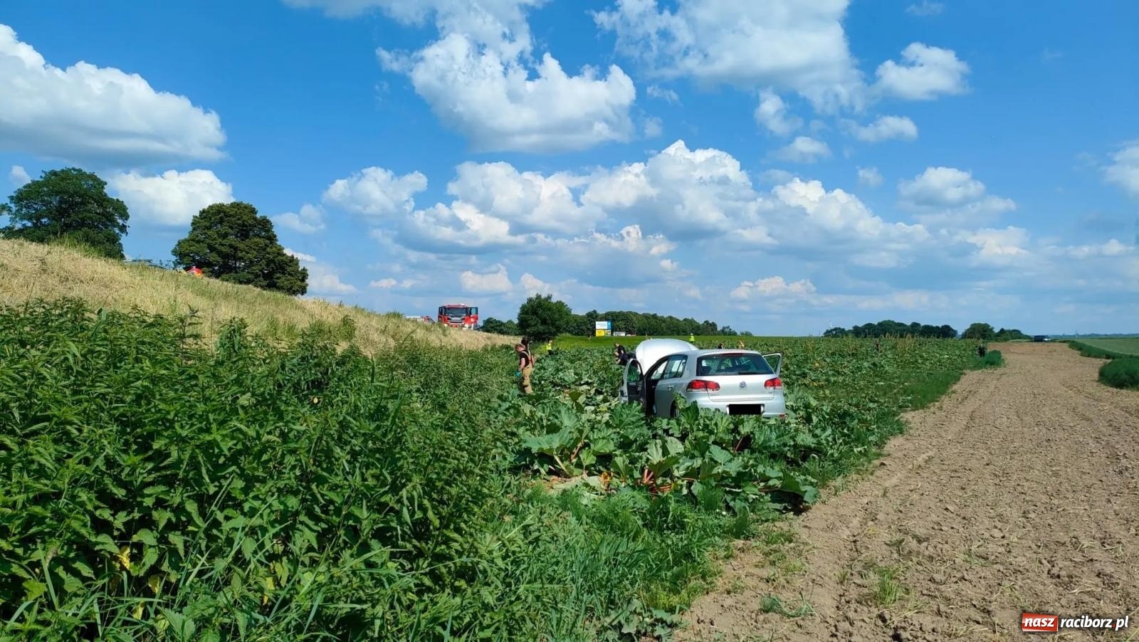 Zdjęcie w galerii na portalu naszraciborz.pl: Wypadek na trasie Racibórz - Żerdziny. Kierowca volkswagena nie zachował ostrożności przy wyprzedzaniu wiadomości z regionu