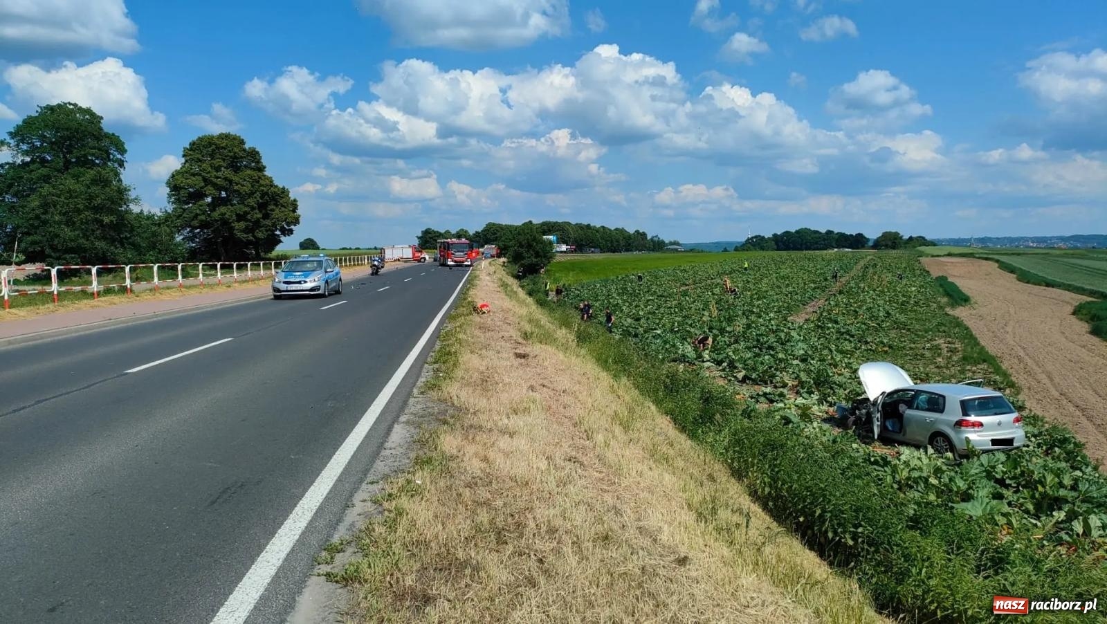 Zdjęcie w galerii na portalu naszraciborz.pl: Wypadek na trasie Racibórz - Żerdziny. Kierowca volkswagena nie zachował ostrożności przy wyprzedzaniu wiadomości z regionu