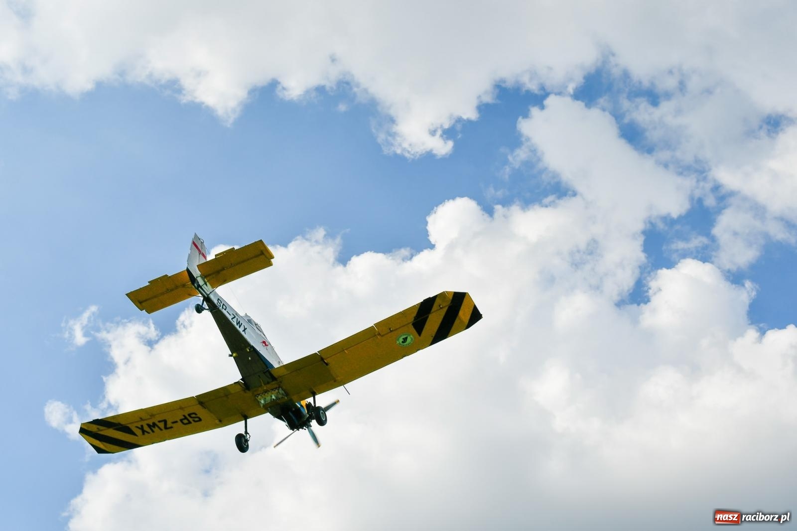 Zdjęcie w galerii na portalu naszraciborz.pl: OSP Krzanowice z Pucharem Burmistrza wiadomości z regionu