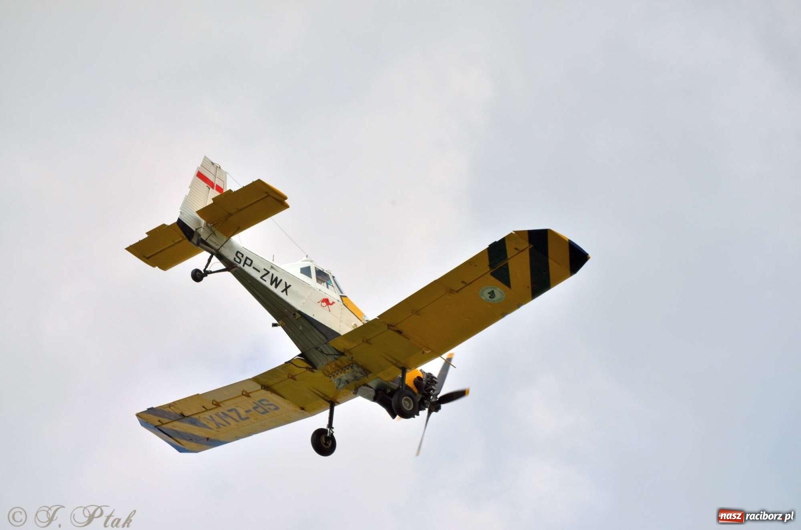 Zdjęcie w galerii na portalu naszraciborz.pl: Z lądu i powietrza - strażackie pokazy i zawody w Borucinie [FOTO] wiadomości z regionu