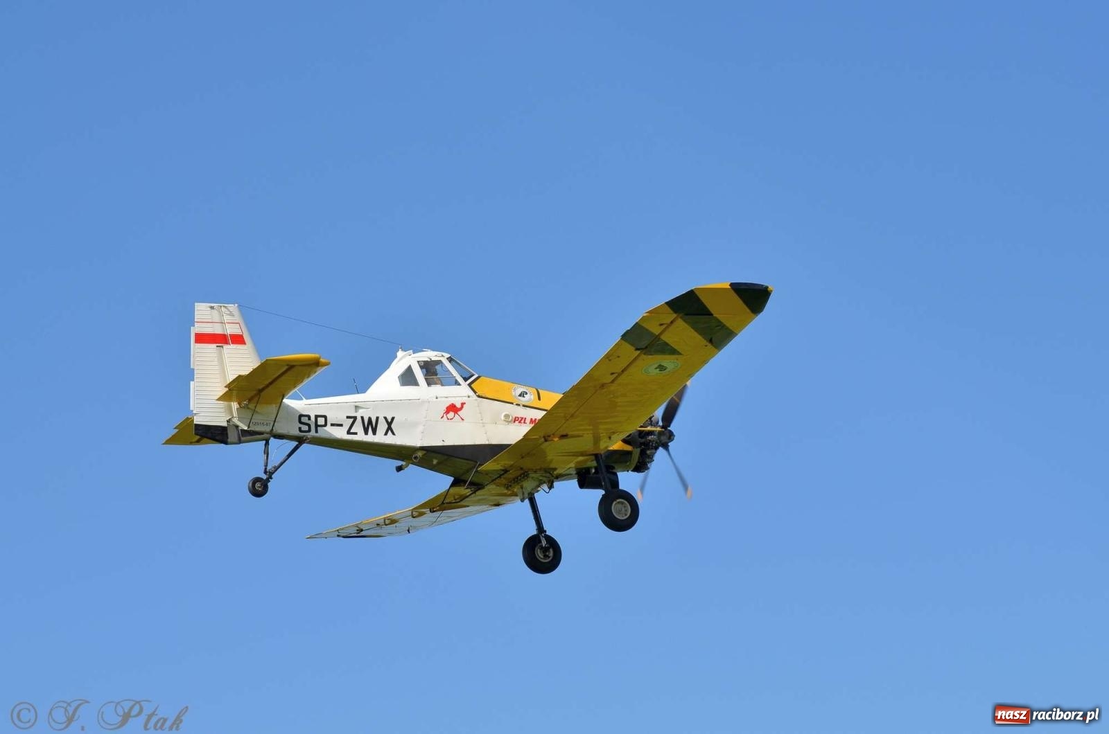 Zdjęcie w galerii na portalu naszraciborz.pl: Z lądu i powietrza - strażackie pokazy i zawody w Borucinie [FOTO] wiadomości z regionu