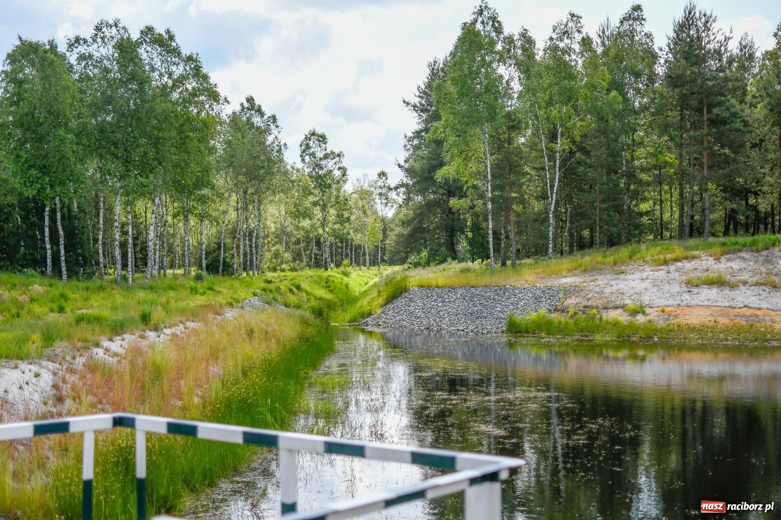 Zdjęcie w galerii na portalu naszraciborz.pl: Lasy raciborskie z małą retencją. Dla bezpieczeństwa i przyrody [FOTO i WIDEO] wiadomości z regionu