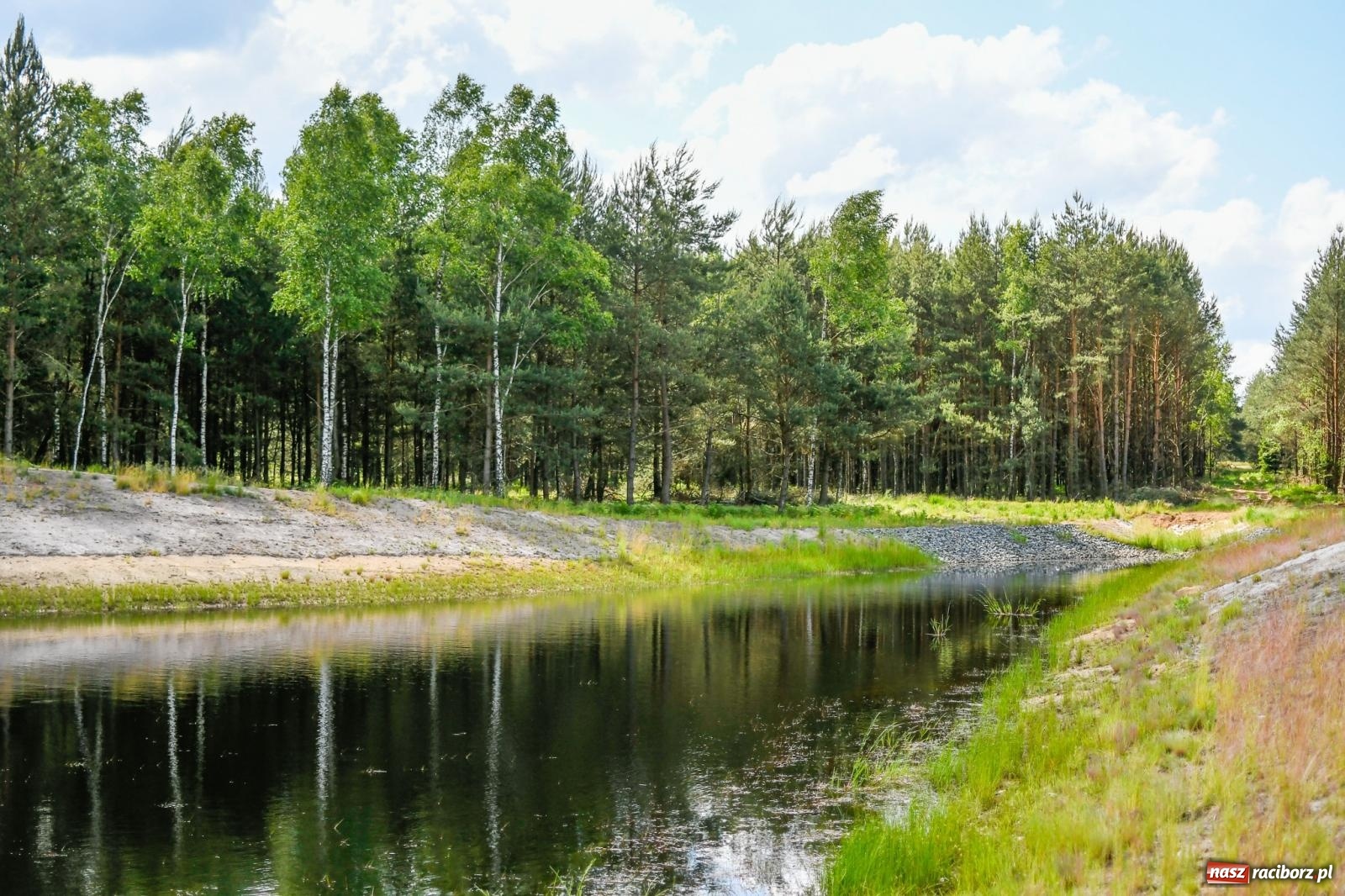 Zdjęcie w galerii na portalu naszraciborz.pl: Lasy raciborskie z małą retencją. Dla bezpieczeństwa i przyrody [FOTO i WIDEO] wiadomości z regionu